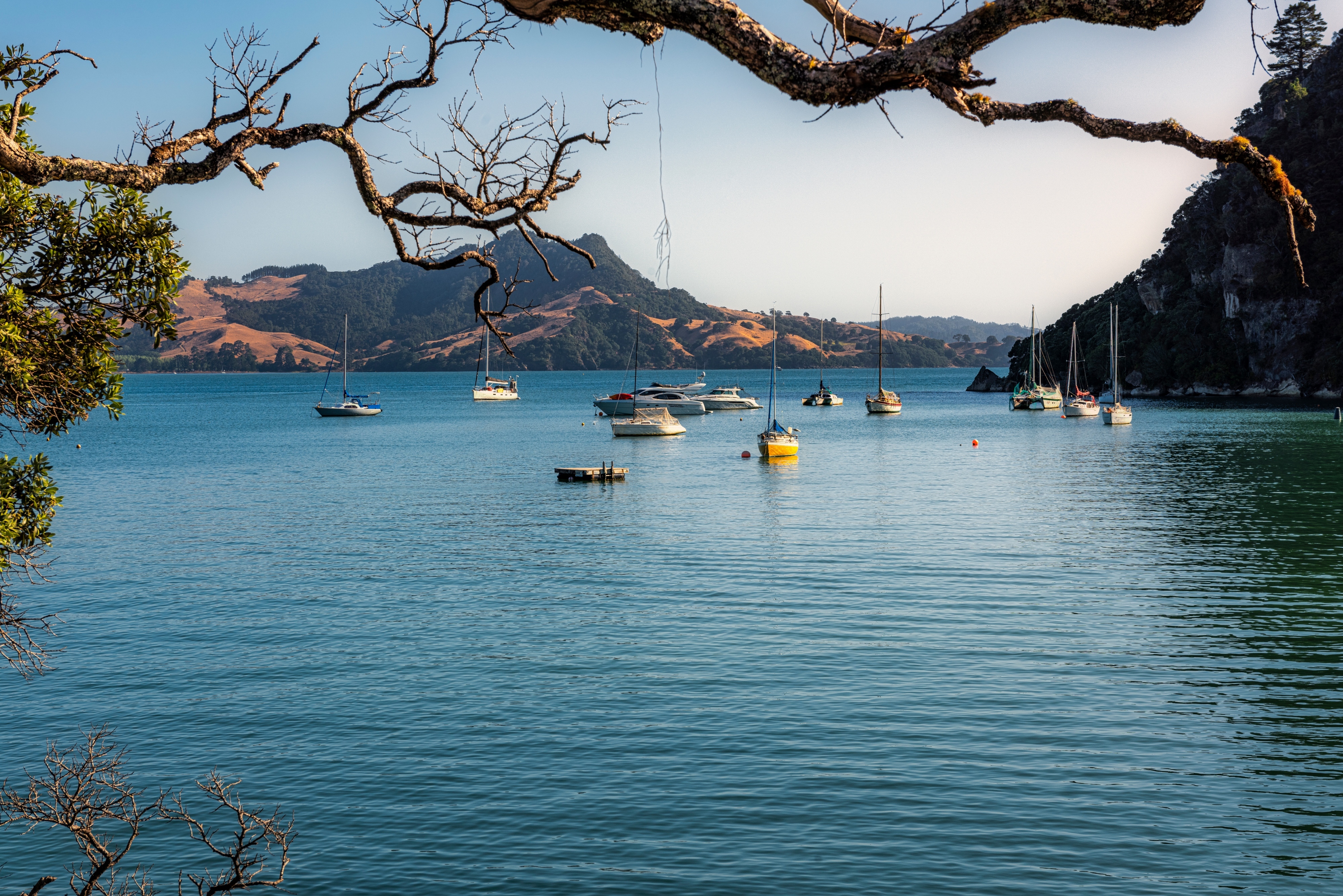 Whitianga