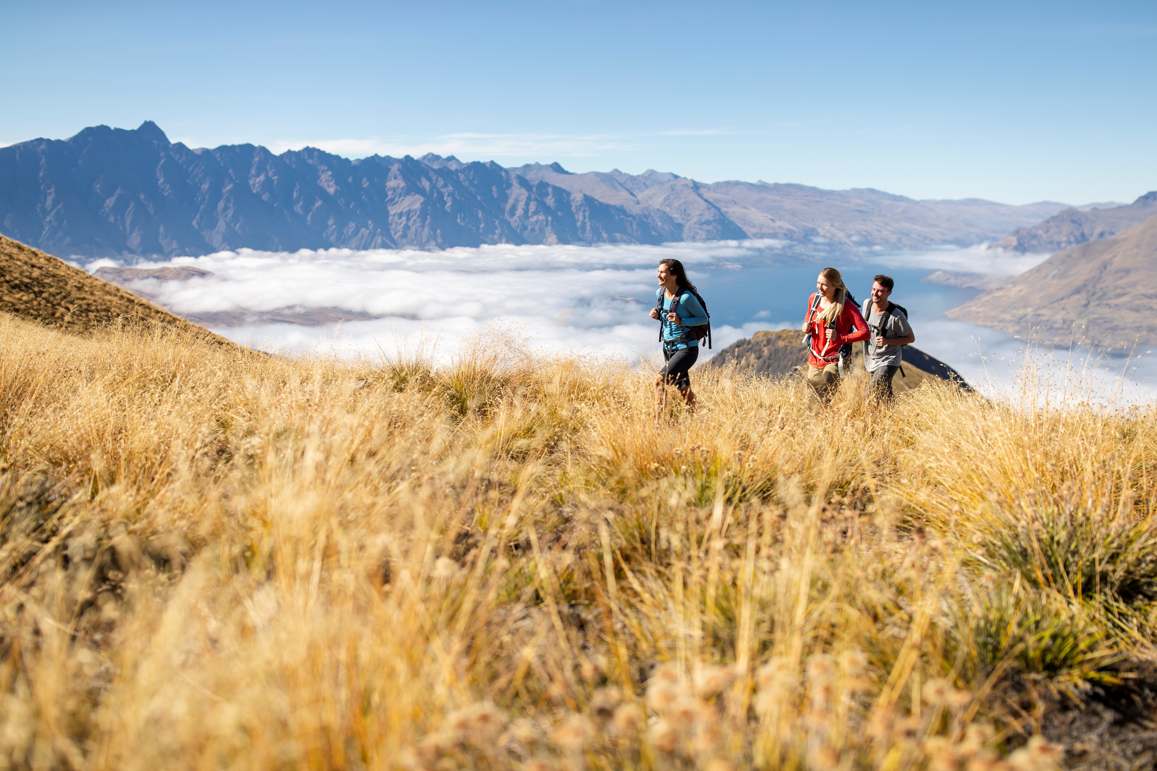 Ben Lomond Track