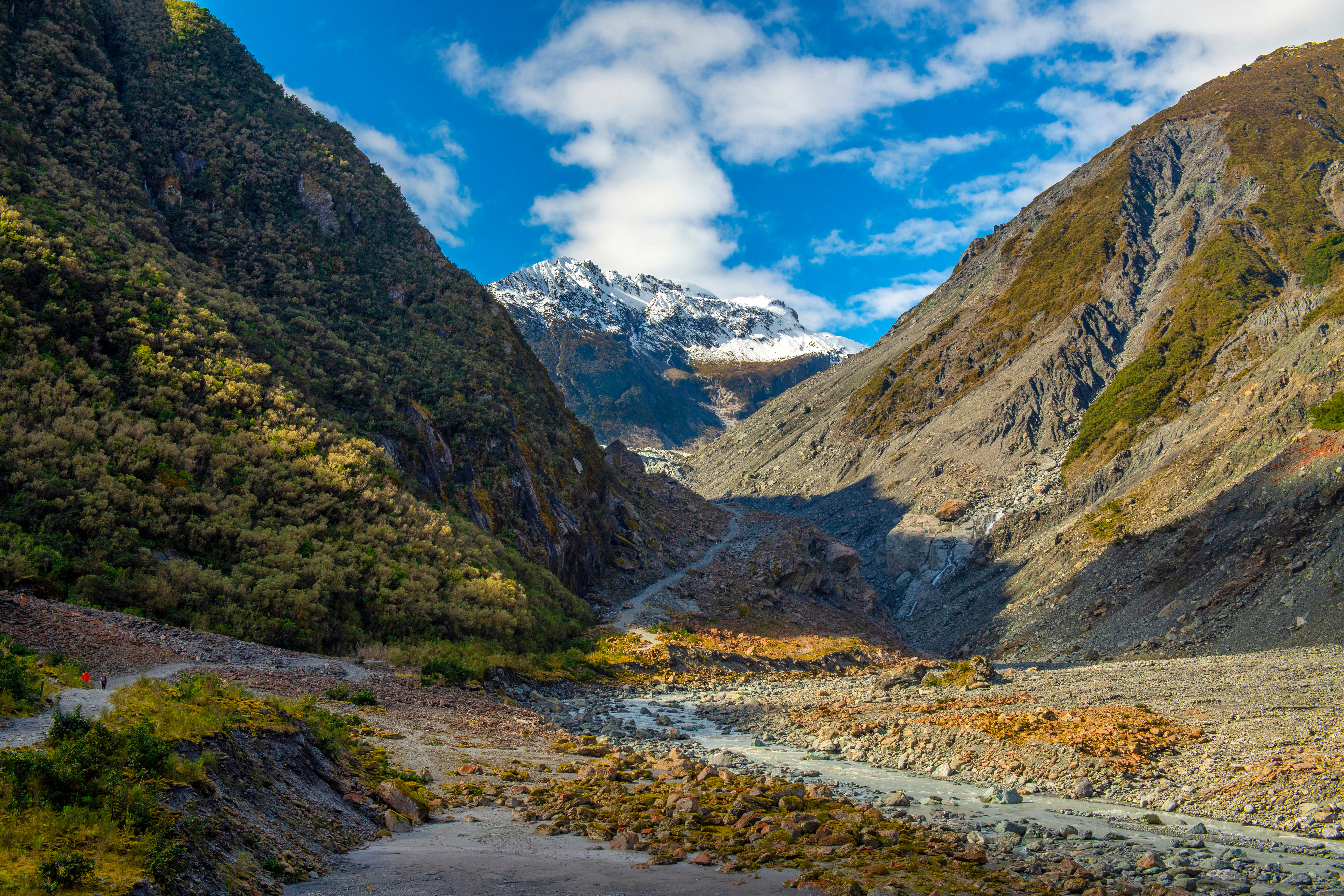 Fox Glacier TOP 10