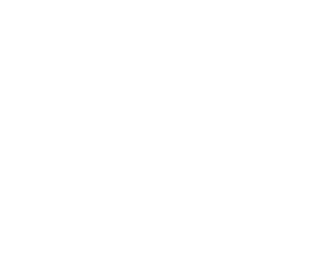 Fox Glacier TOP 10
