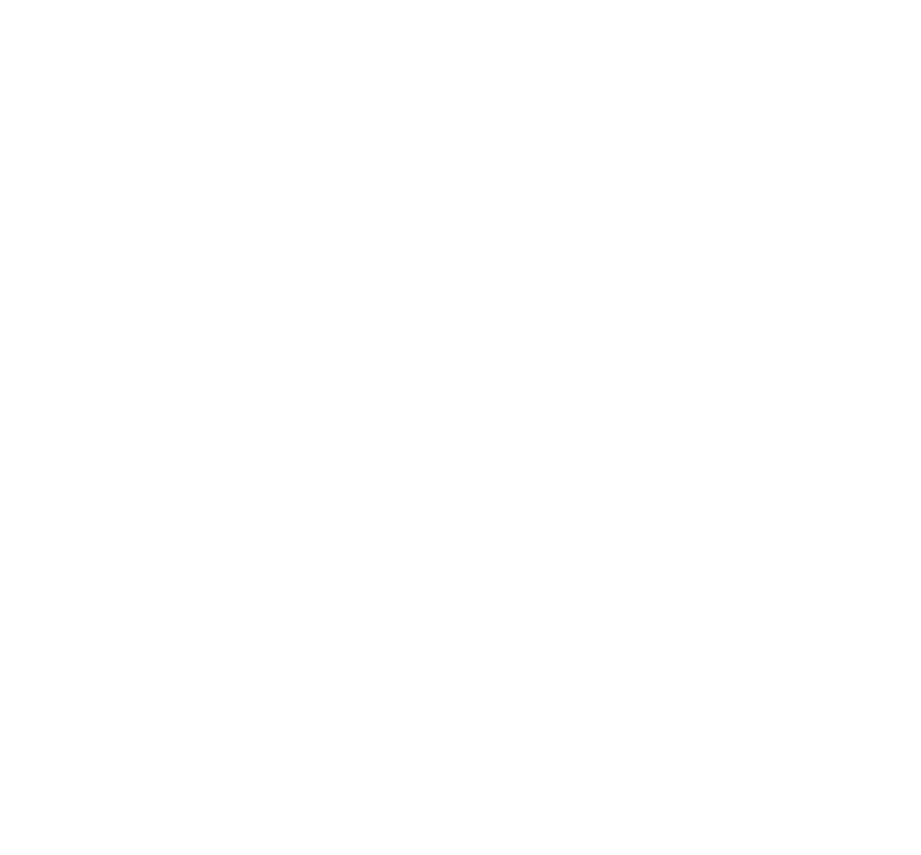 Queenstown TOP 10