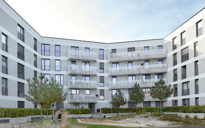 VGG DSC8852 VGG DSC8852