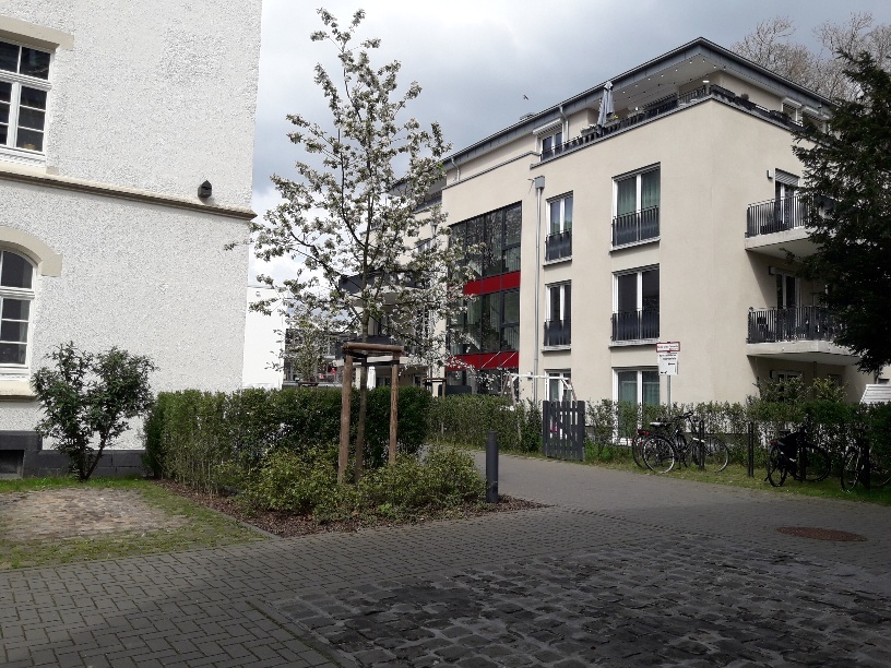 Neubau Boltensternstraße