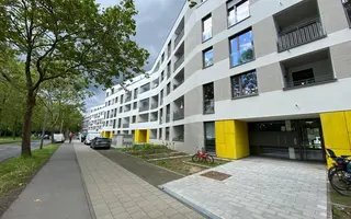 Zollstockgürtel 4d Zollstockgürtel 4d