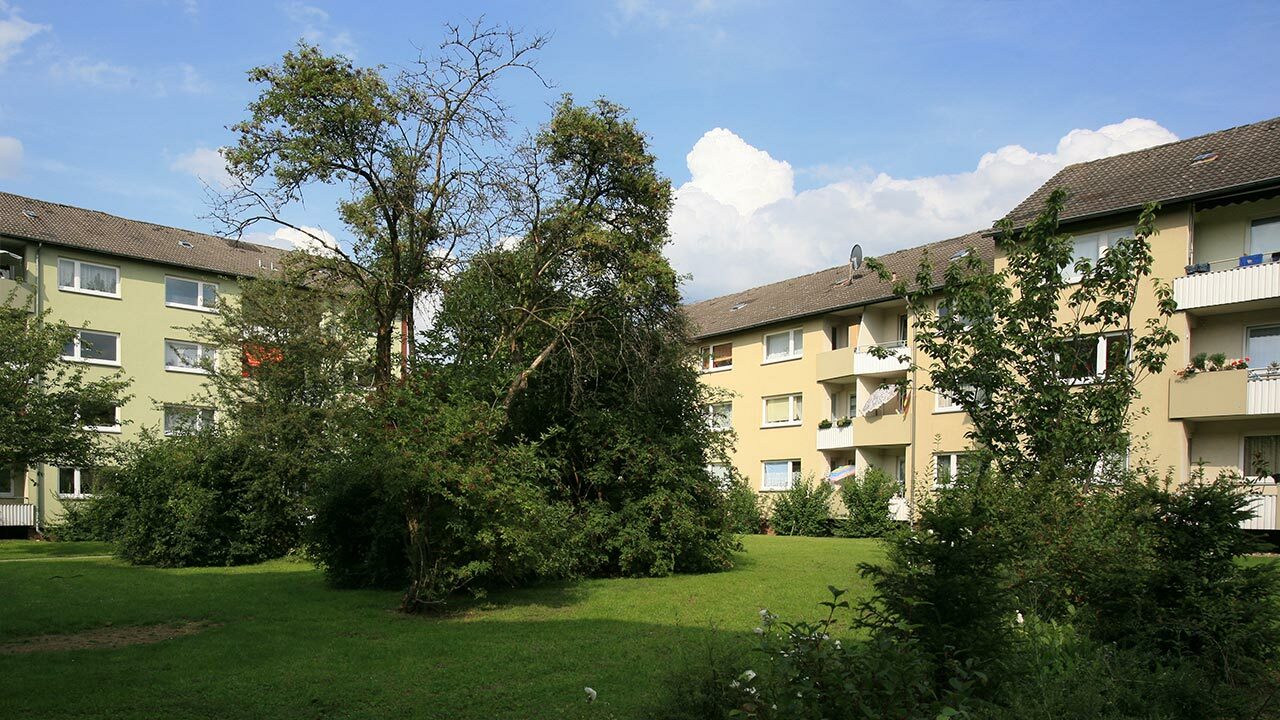 Buschf83 03