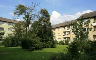 Buschf83 03 Buschf83 03