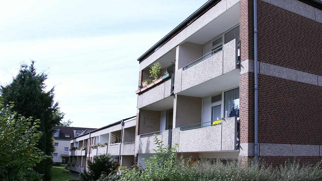 Kalsch53 01