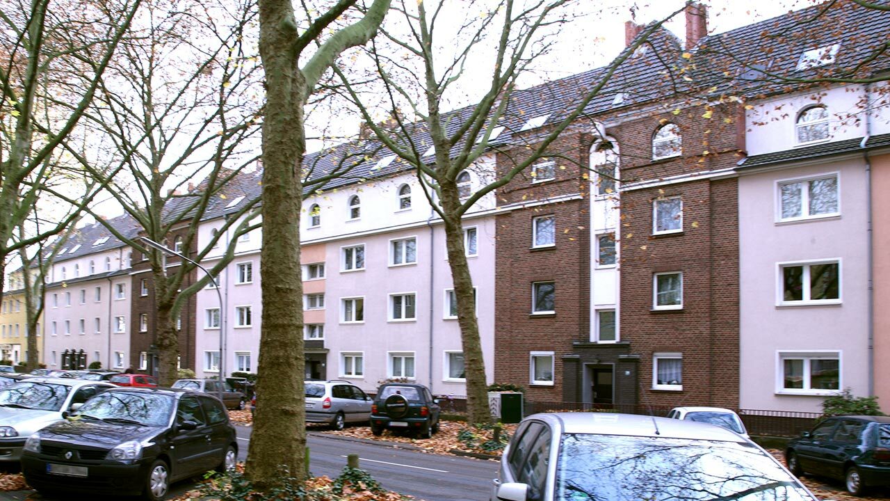 Neuenh21 02