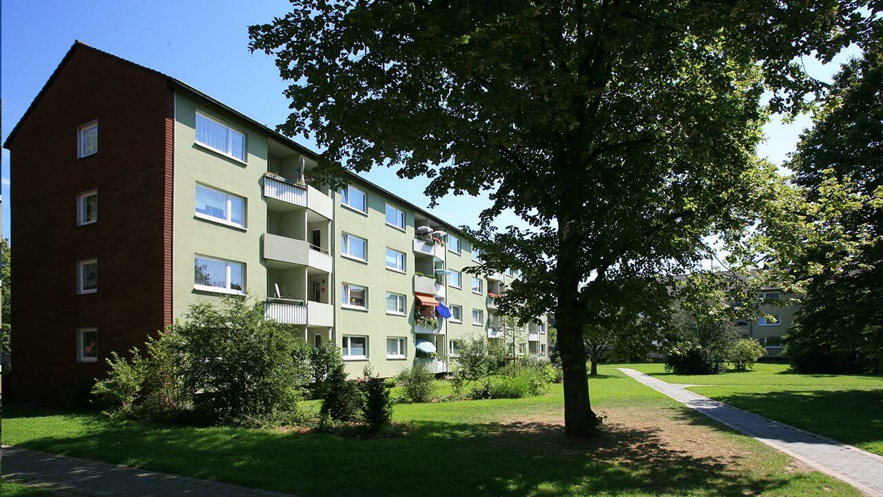 Wdavid1 02
