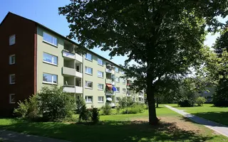 Wdavid1 02 Wdavid1 02