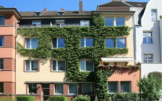 Wicht55 02 Wicht55 02