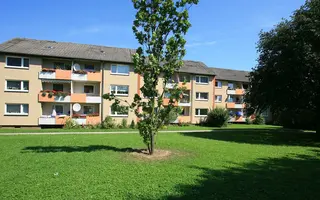 Zille12 01 Zille12 01