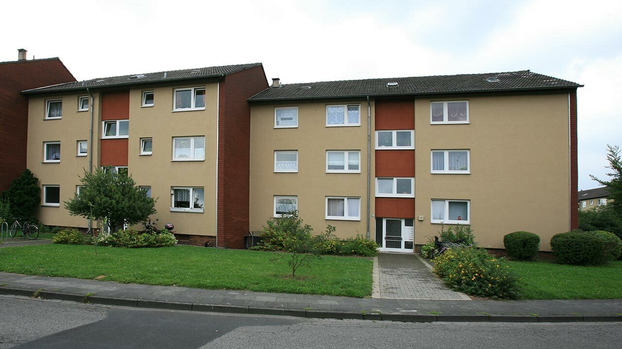 Zille12 04