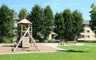 Zille18 01 Zille18 01