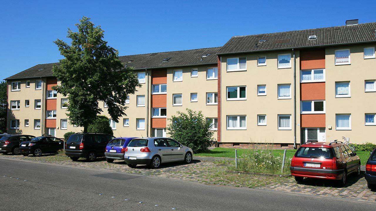 Zille2 05