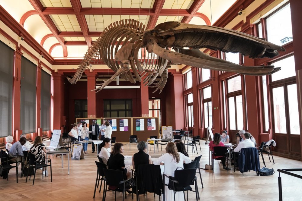 Darwin hall 1