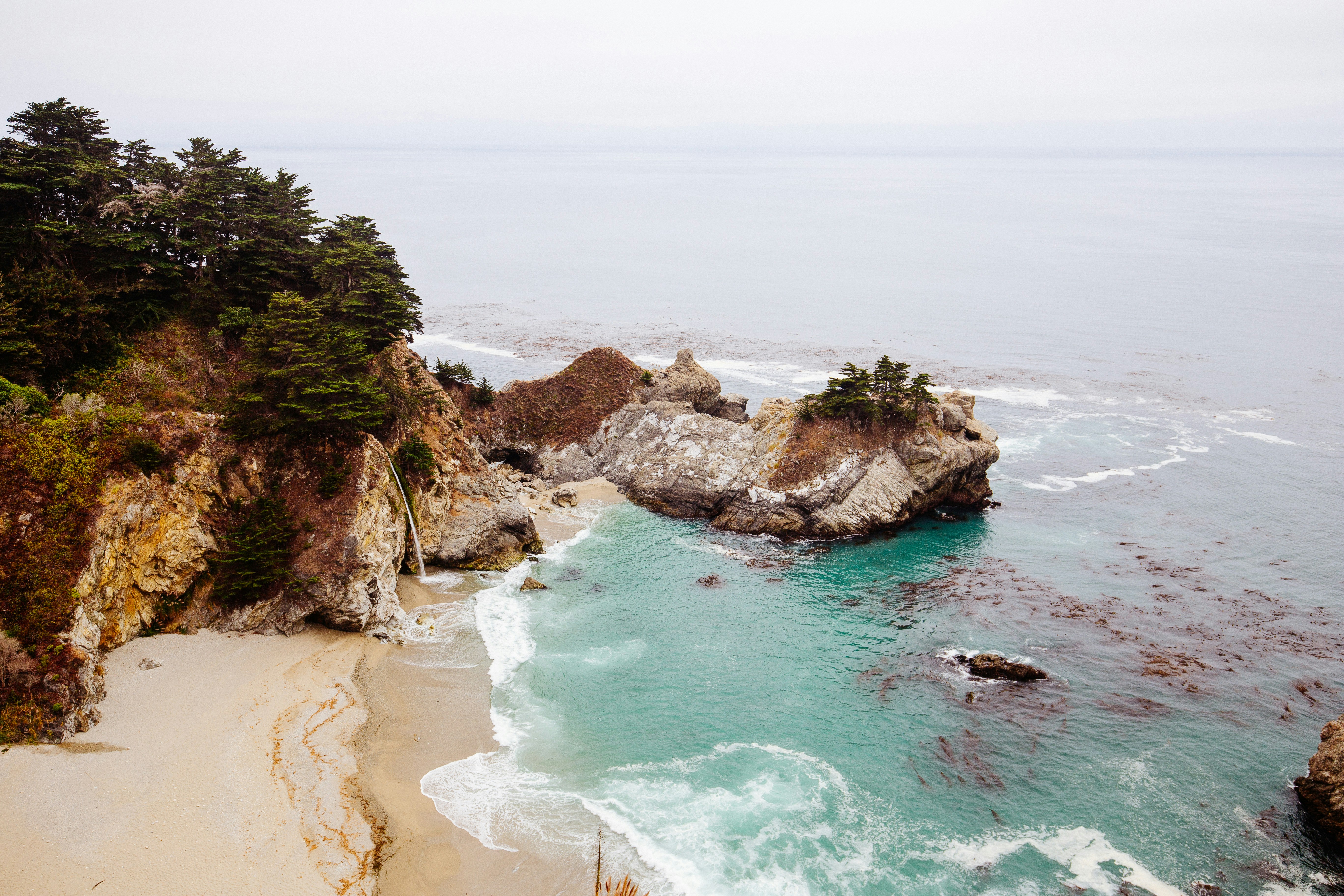 Scenic Drives: Highway 1