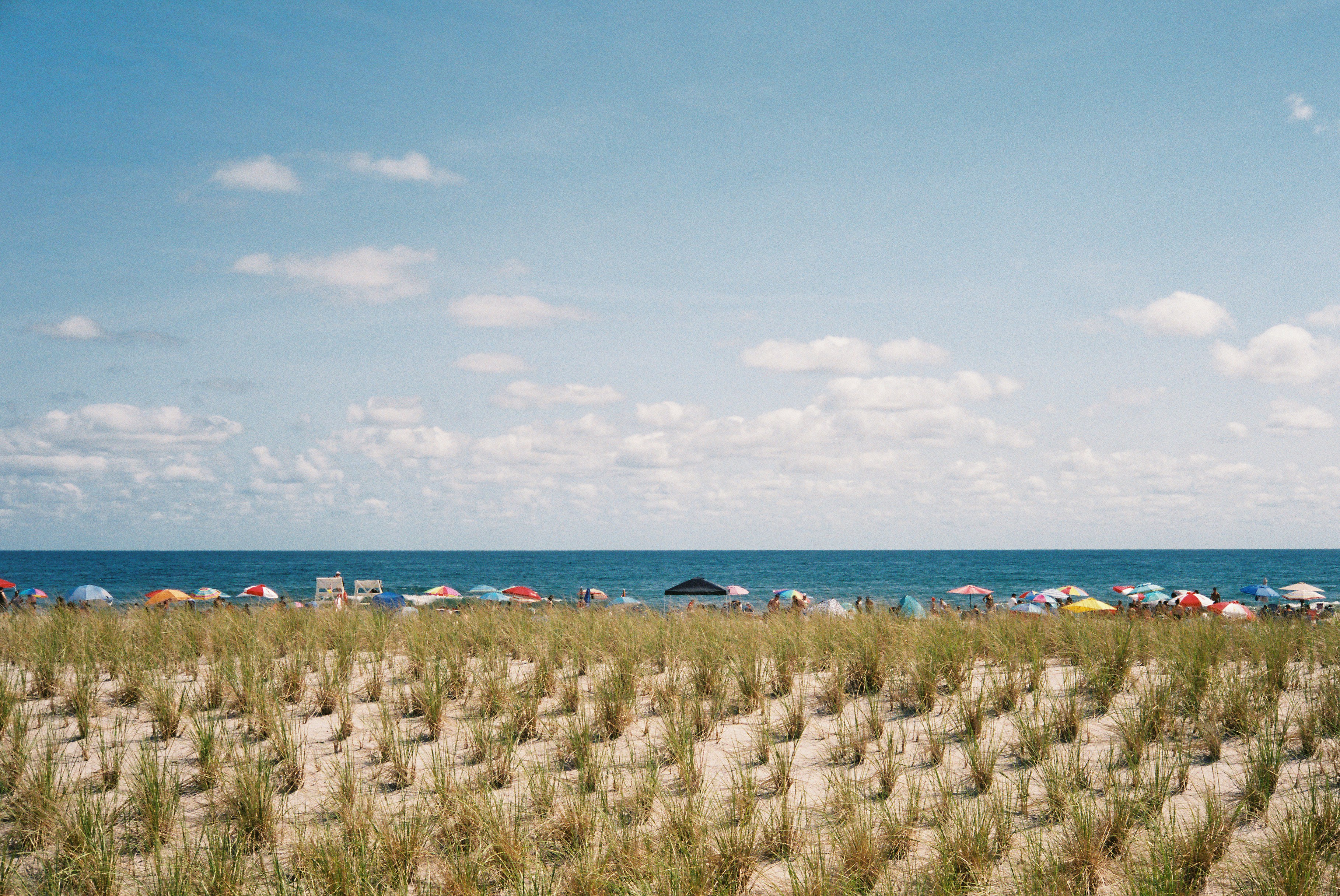 Jersey shore