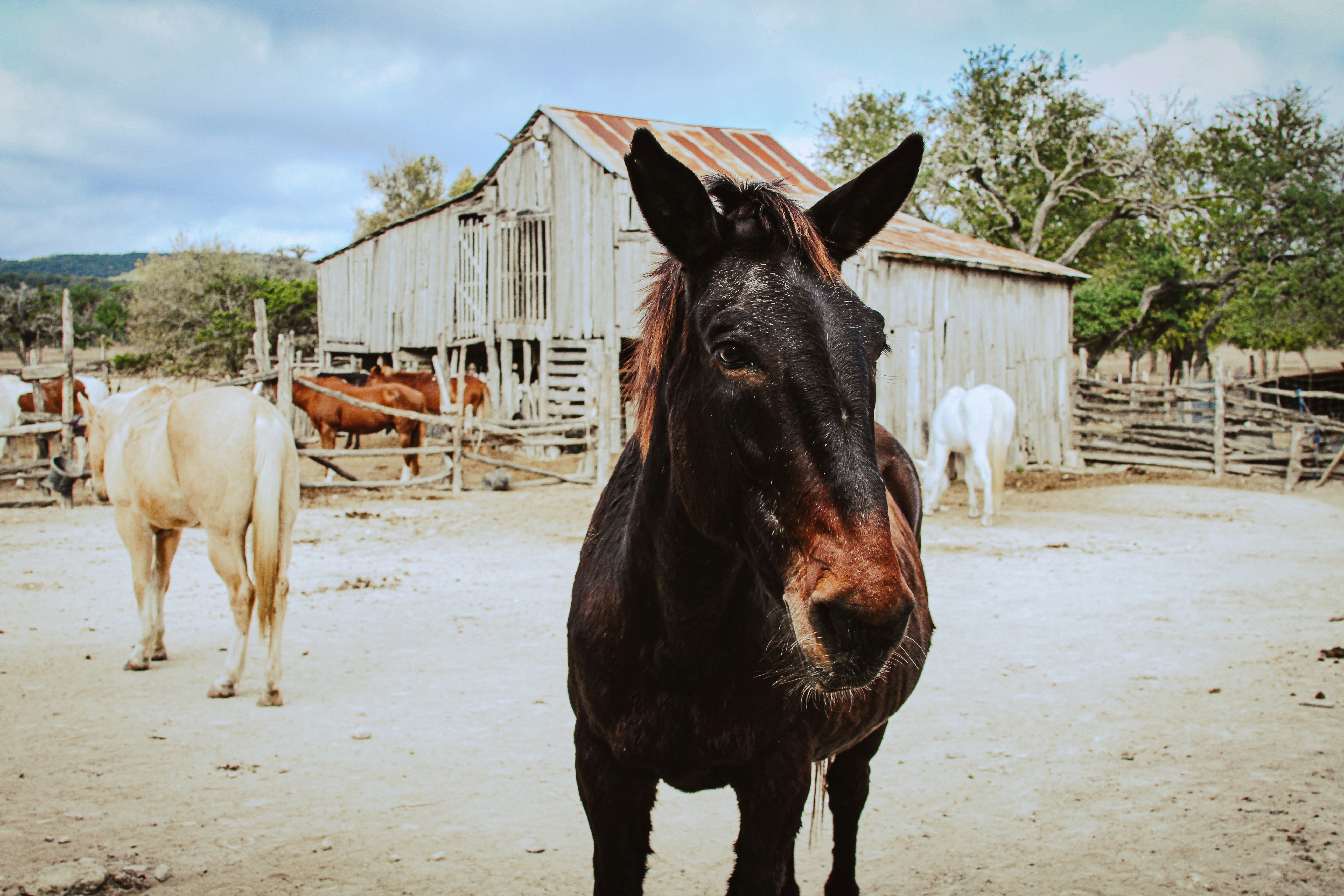 Polina portnaya u F Ptdx RW80 unsplash