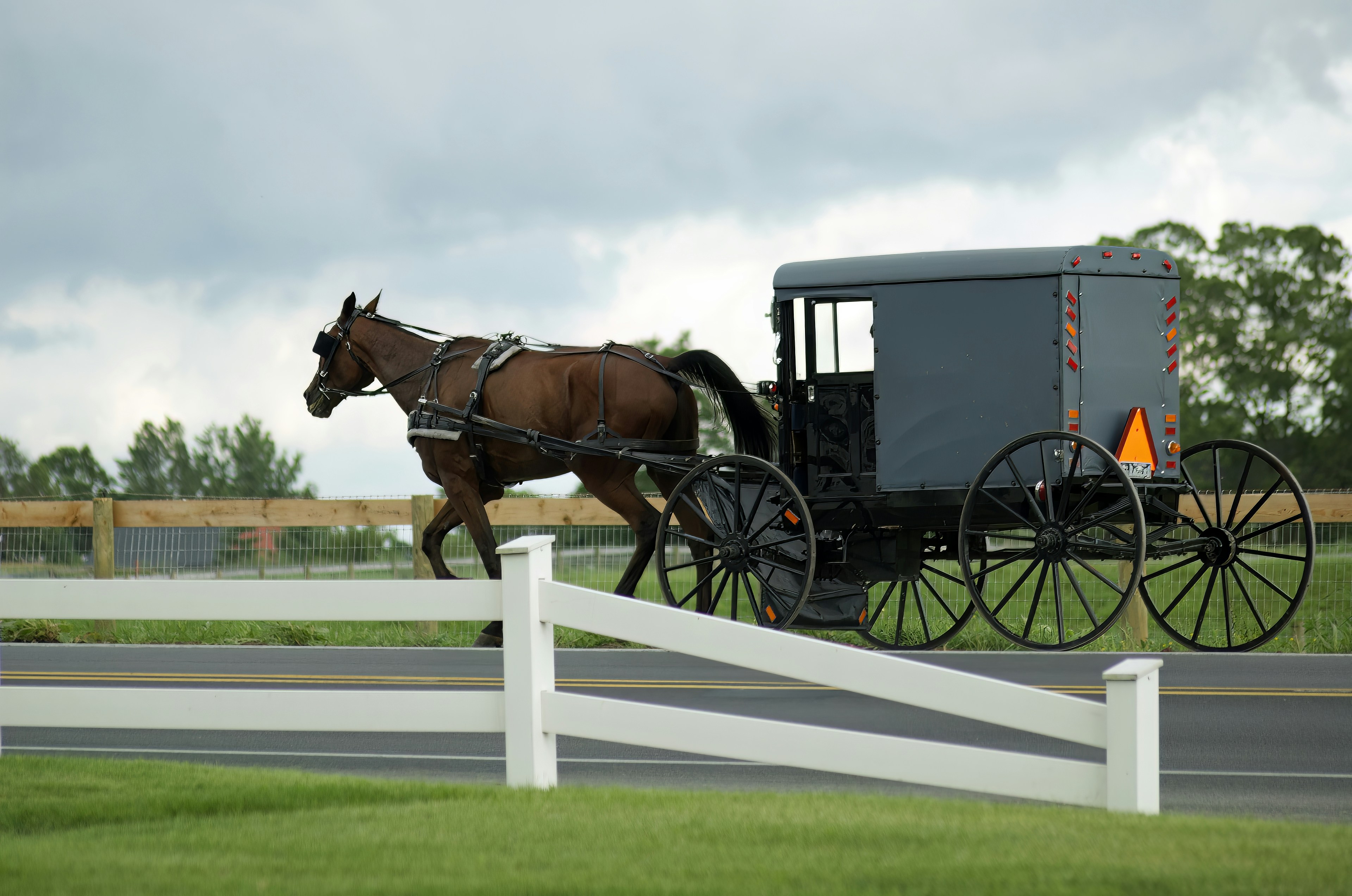 New York, Amish Country & Washington