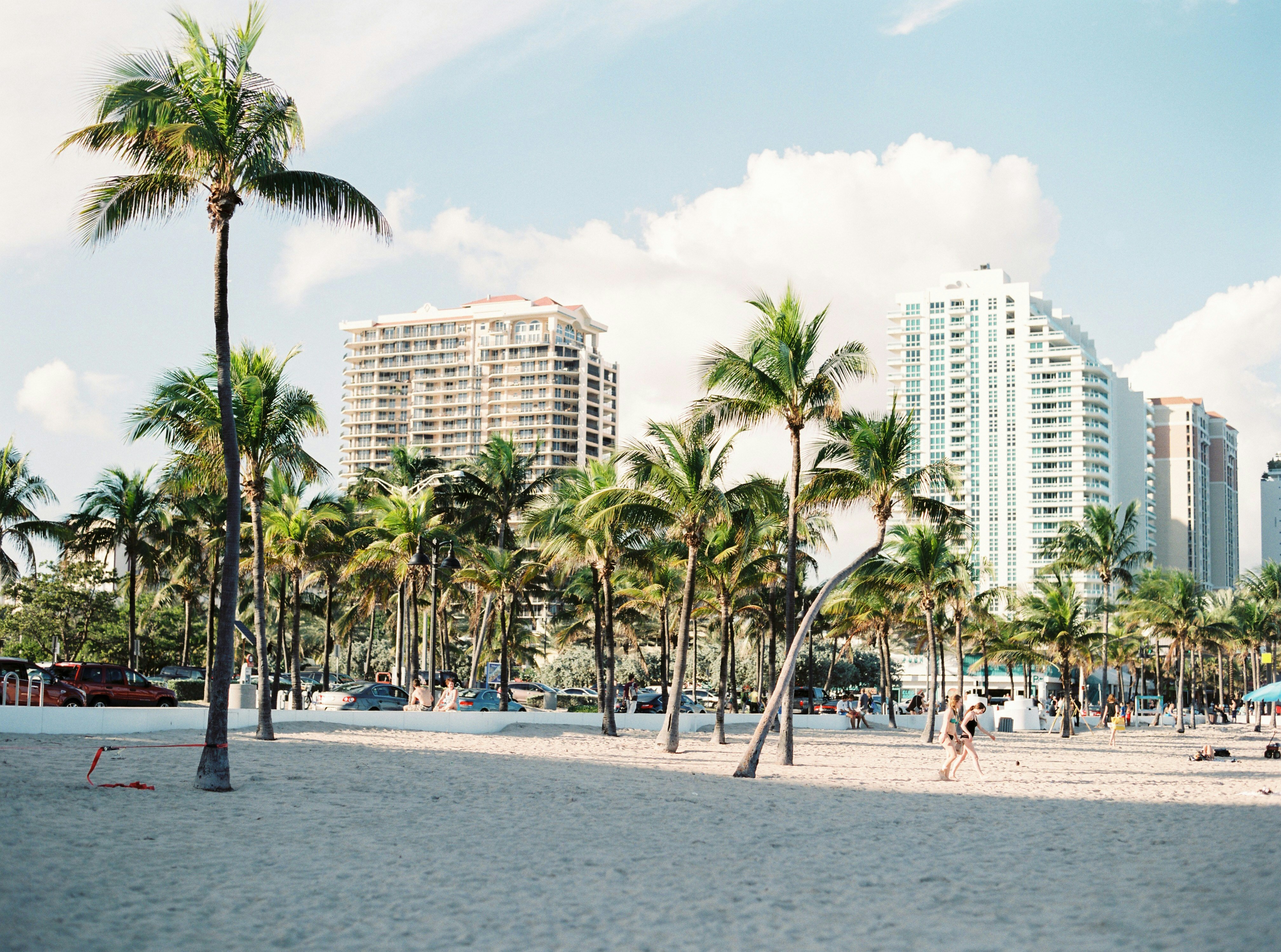 Hoogtepunten van Florida