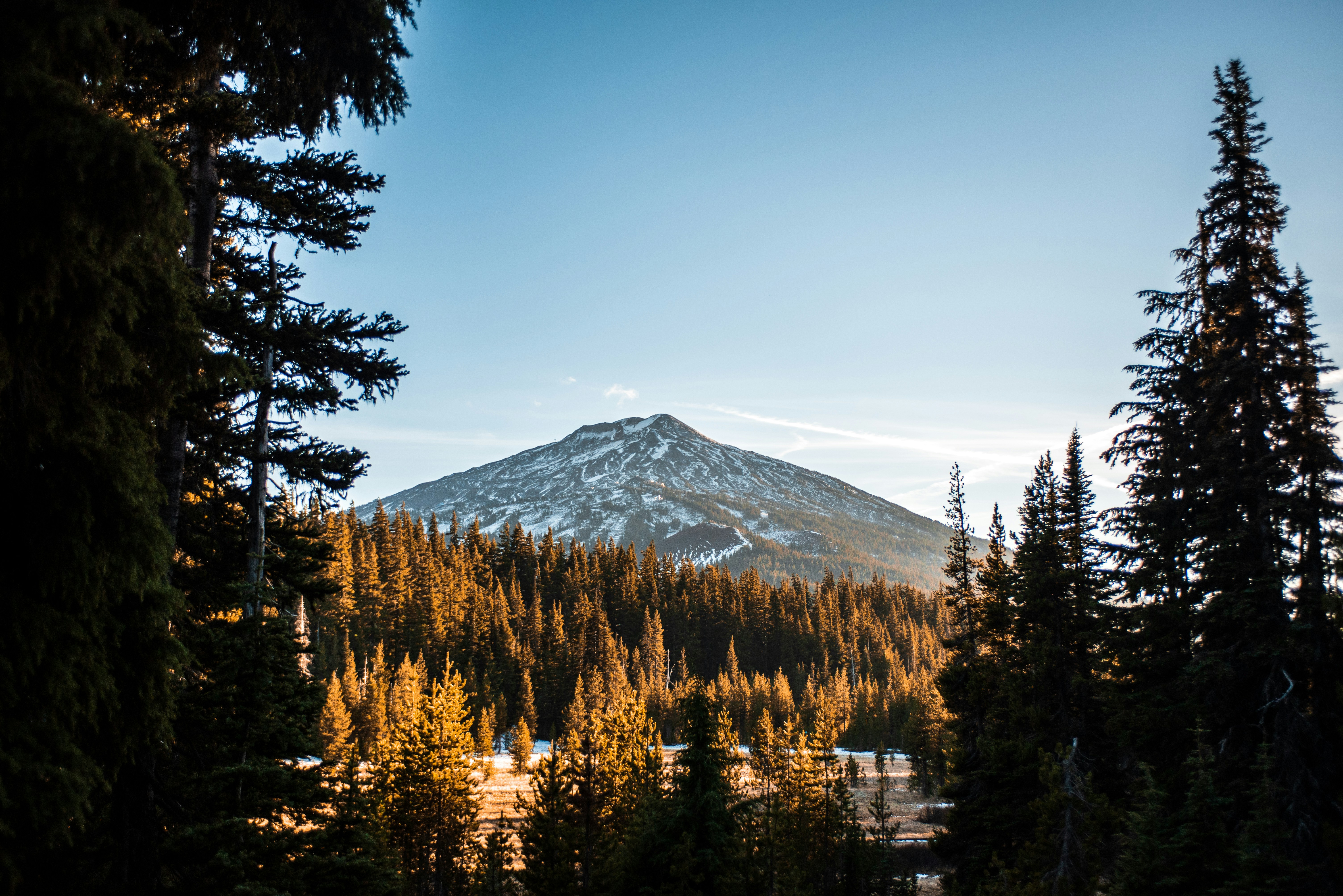 Bend mount bachelor