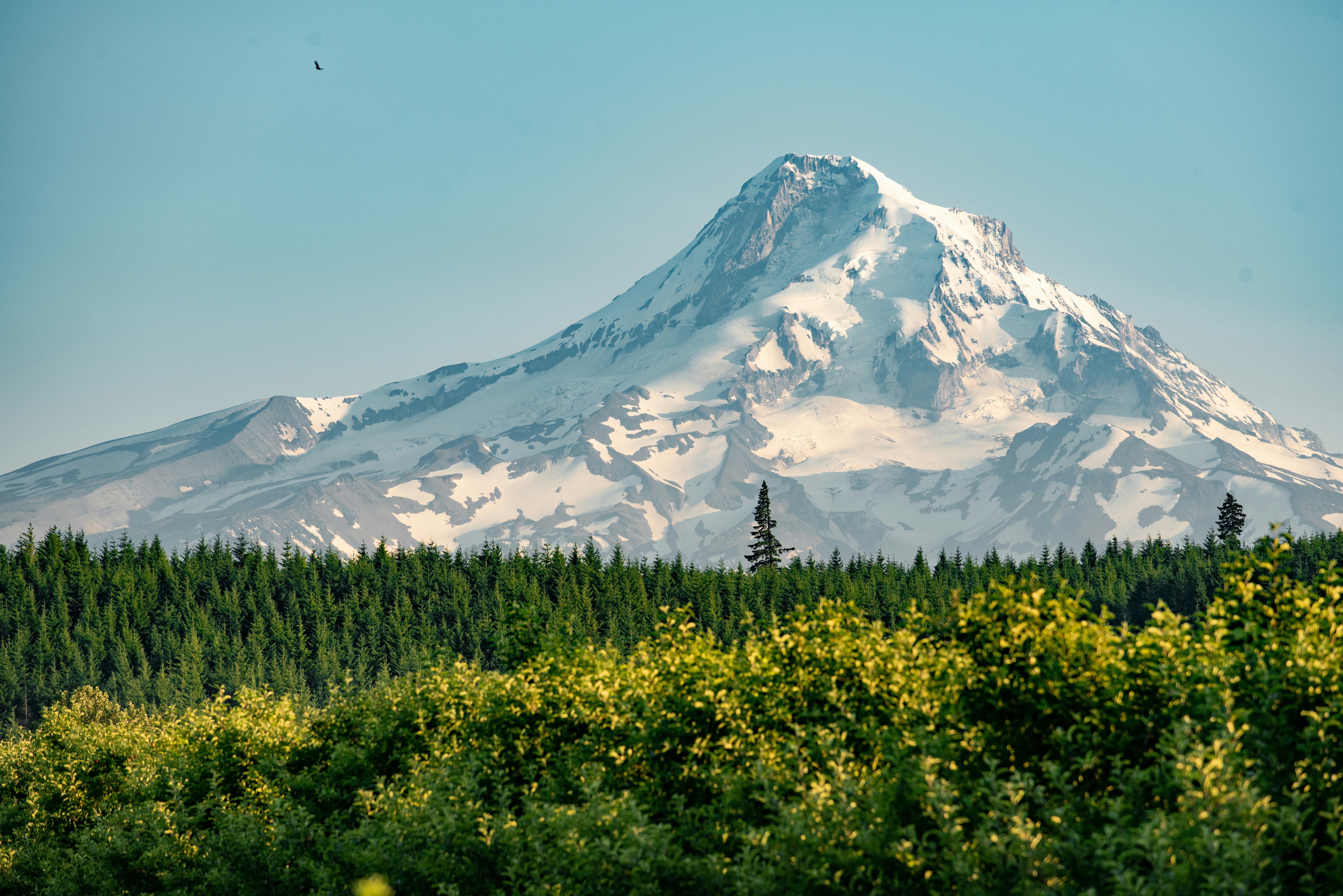Mount hood