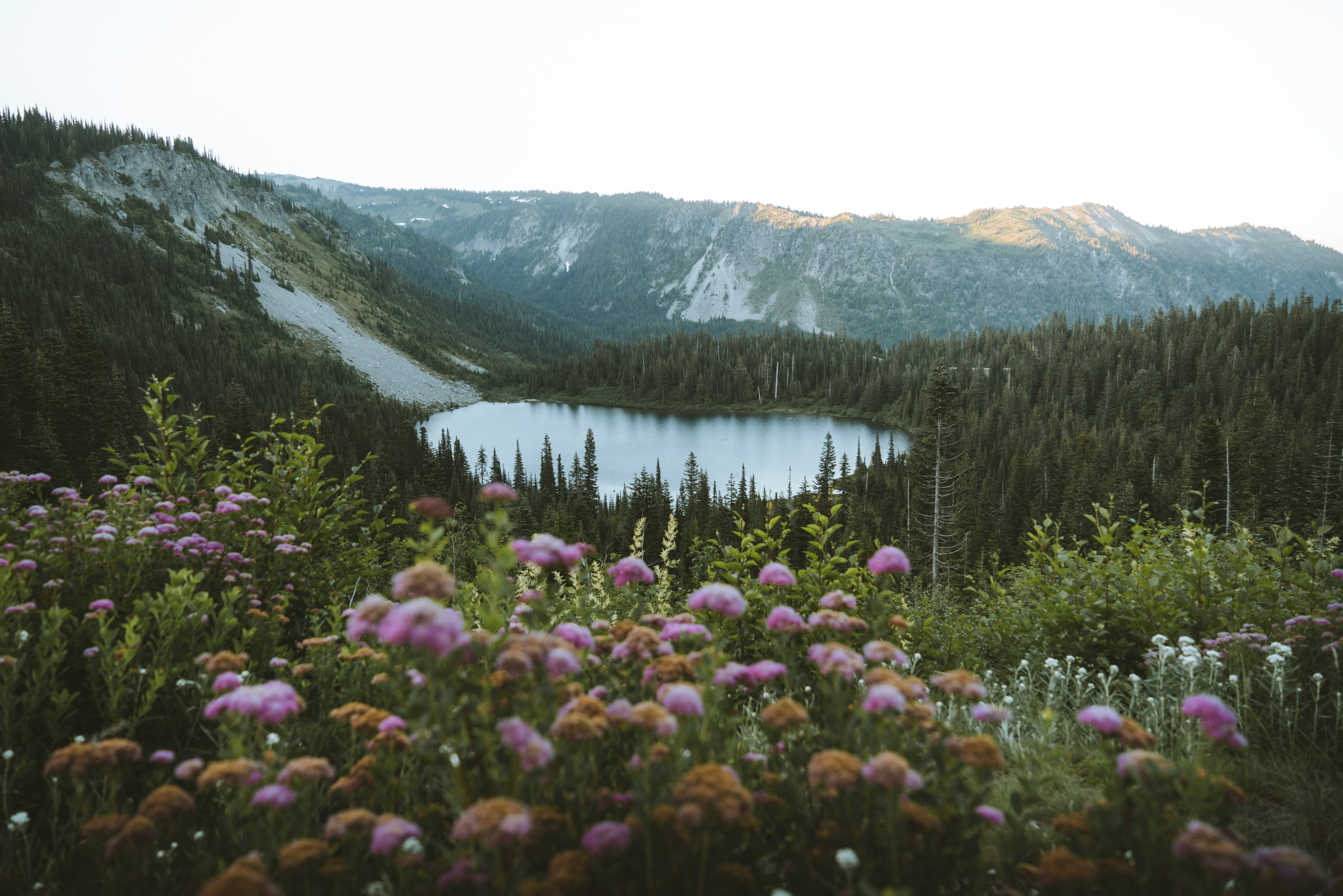 Mount rainier national park1