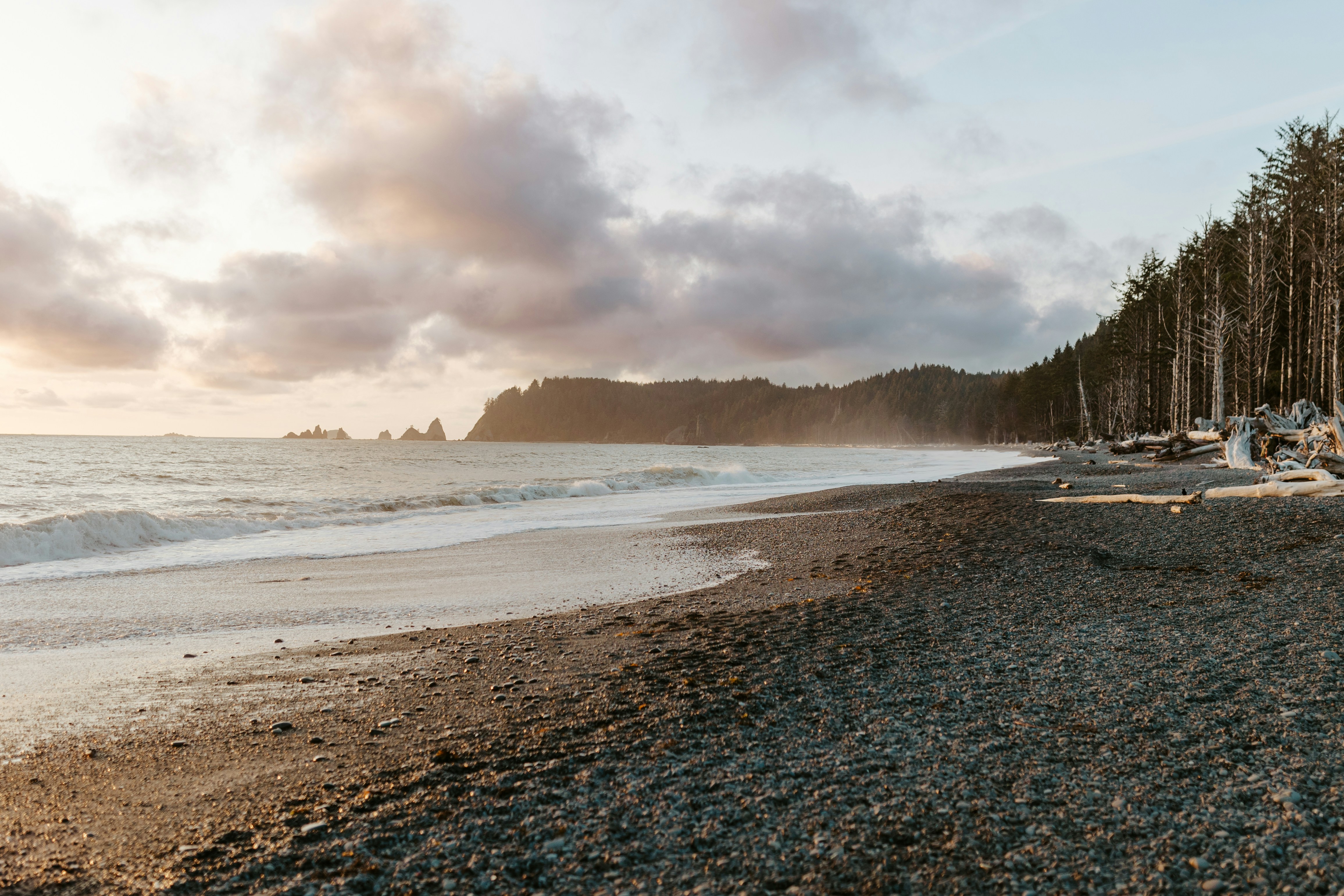 Olympic national park rialto beach