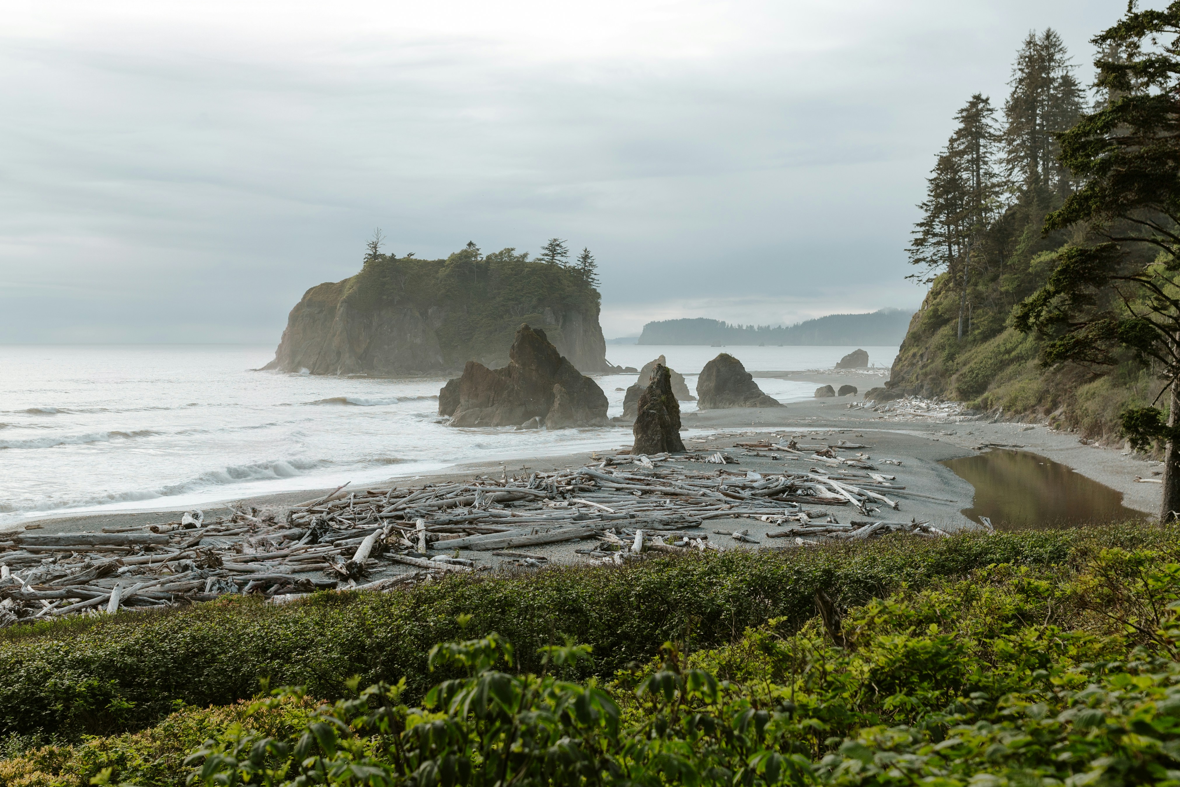 Olympic national park ruby beach