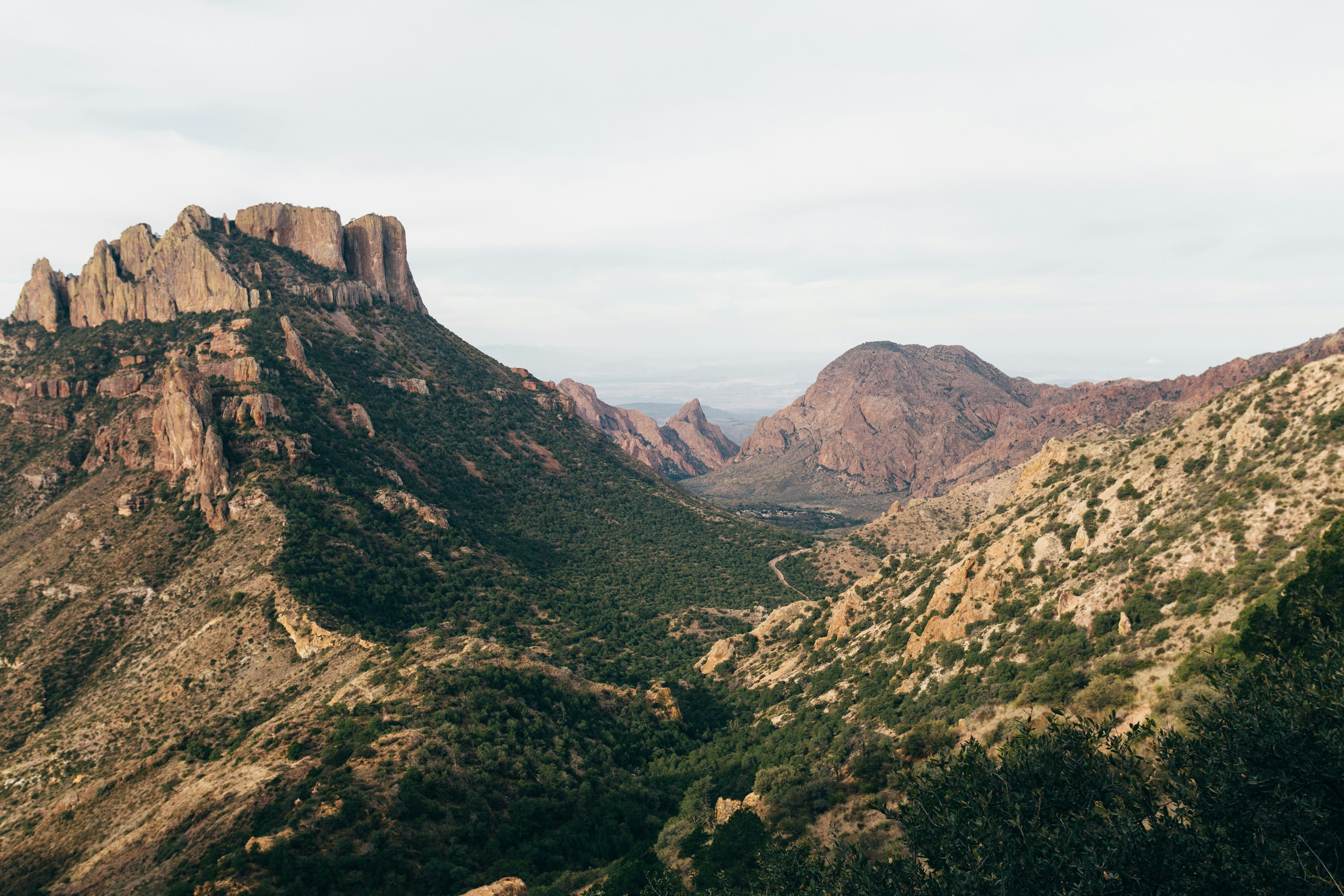Big bend national park1