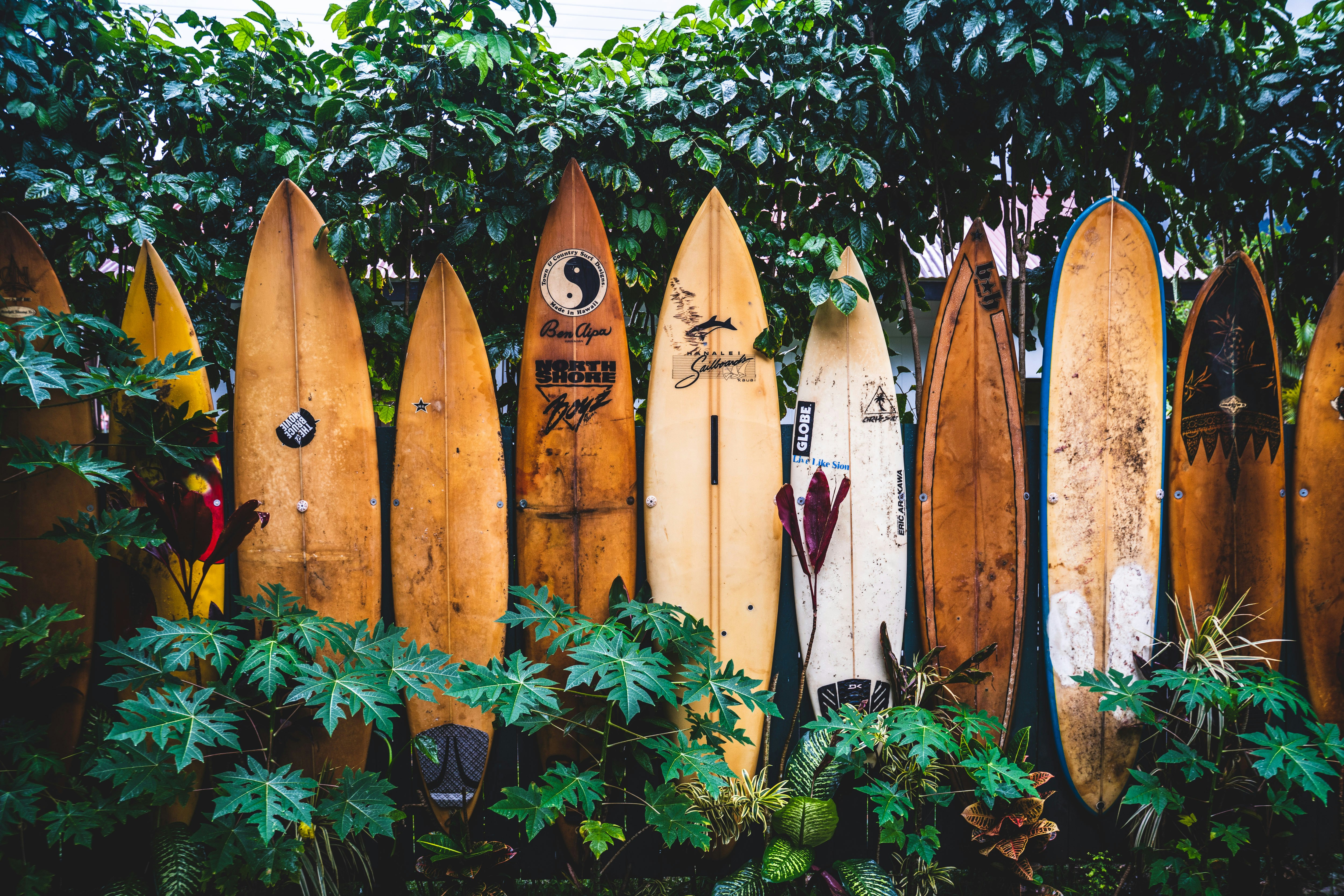 Hawaii surfplanken