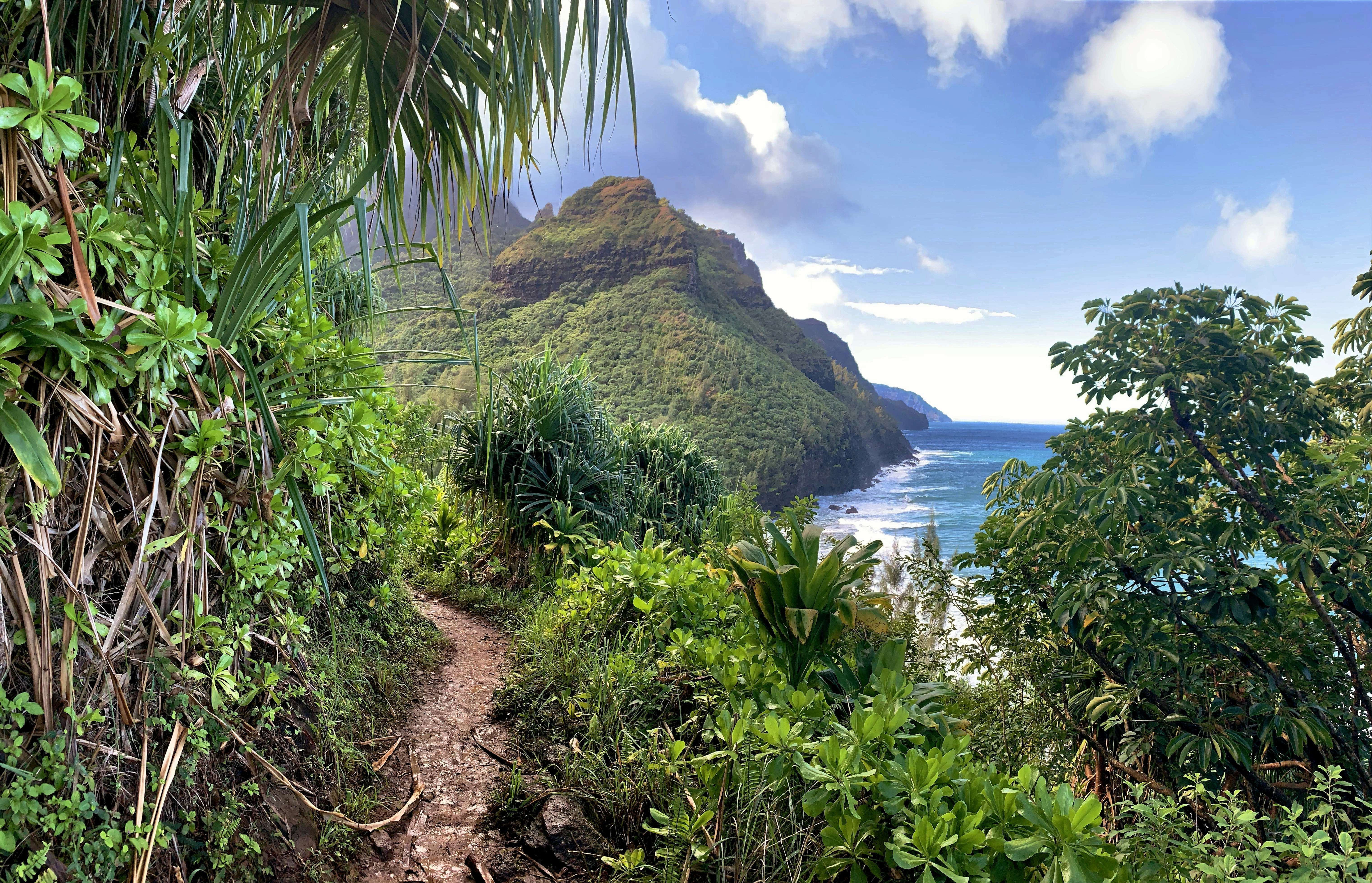 Kauai napali coast state wilderness park