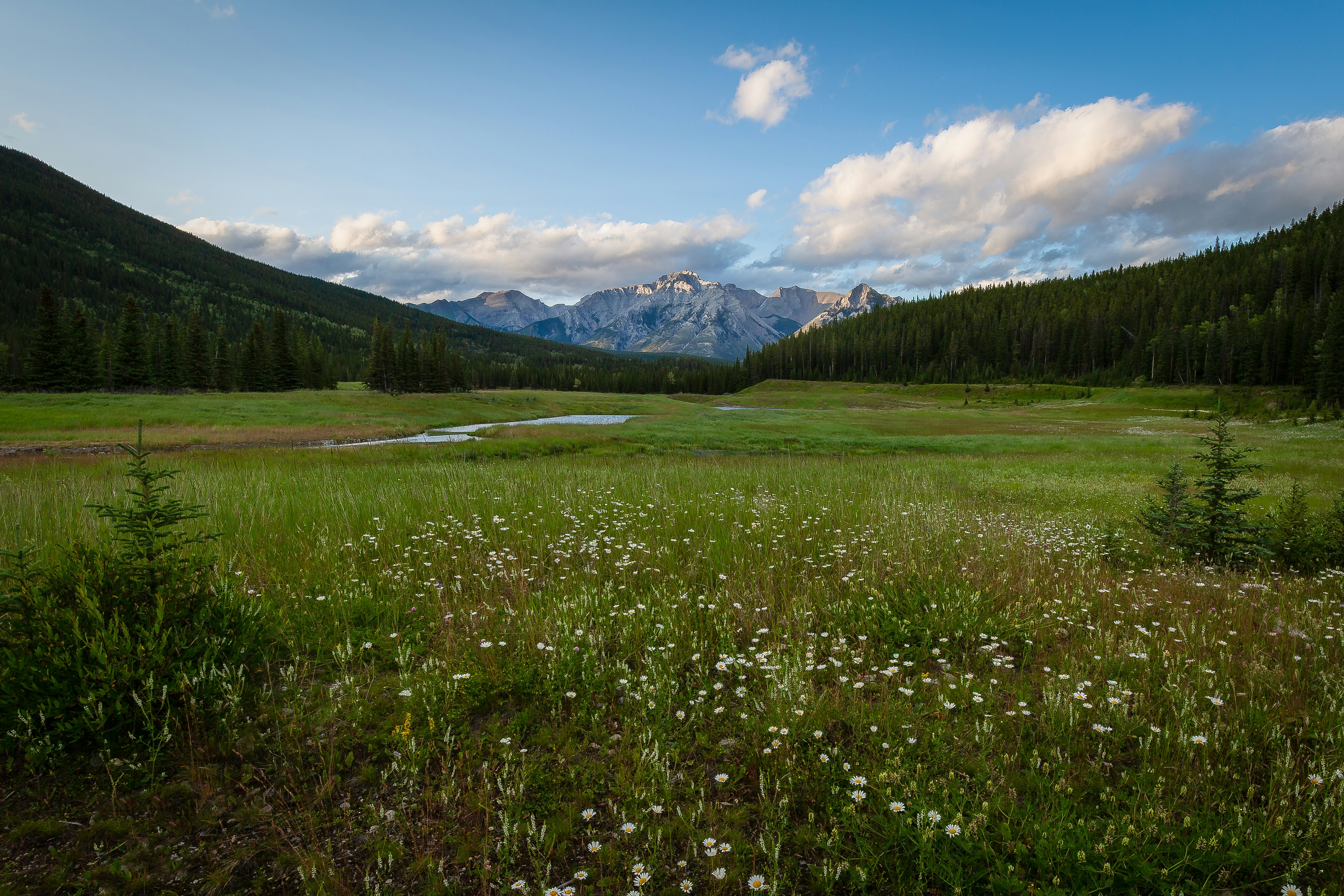 Banff national park vallei