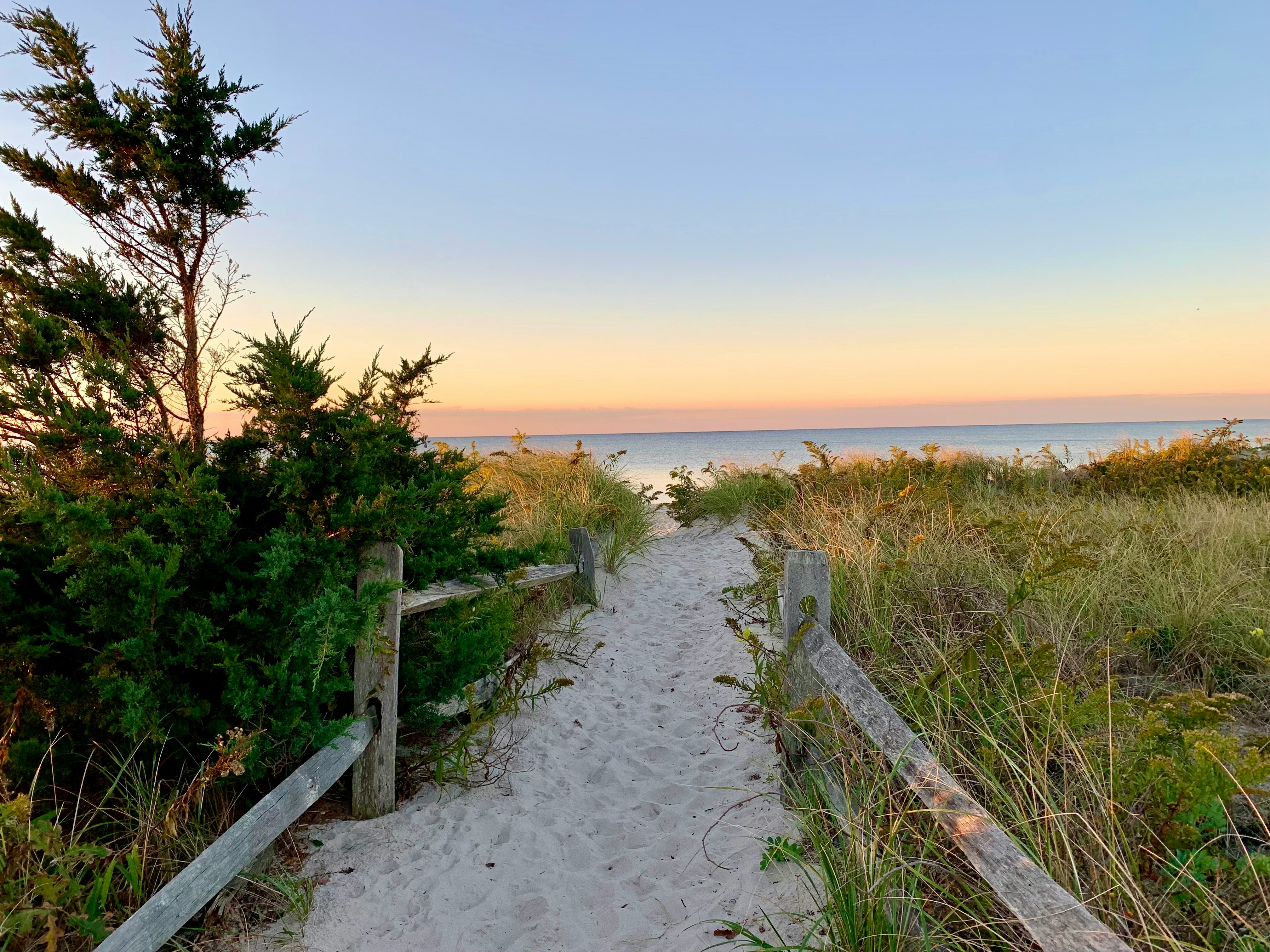 Cape cod strand 1