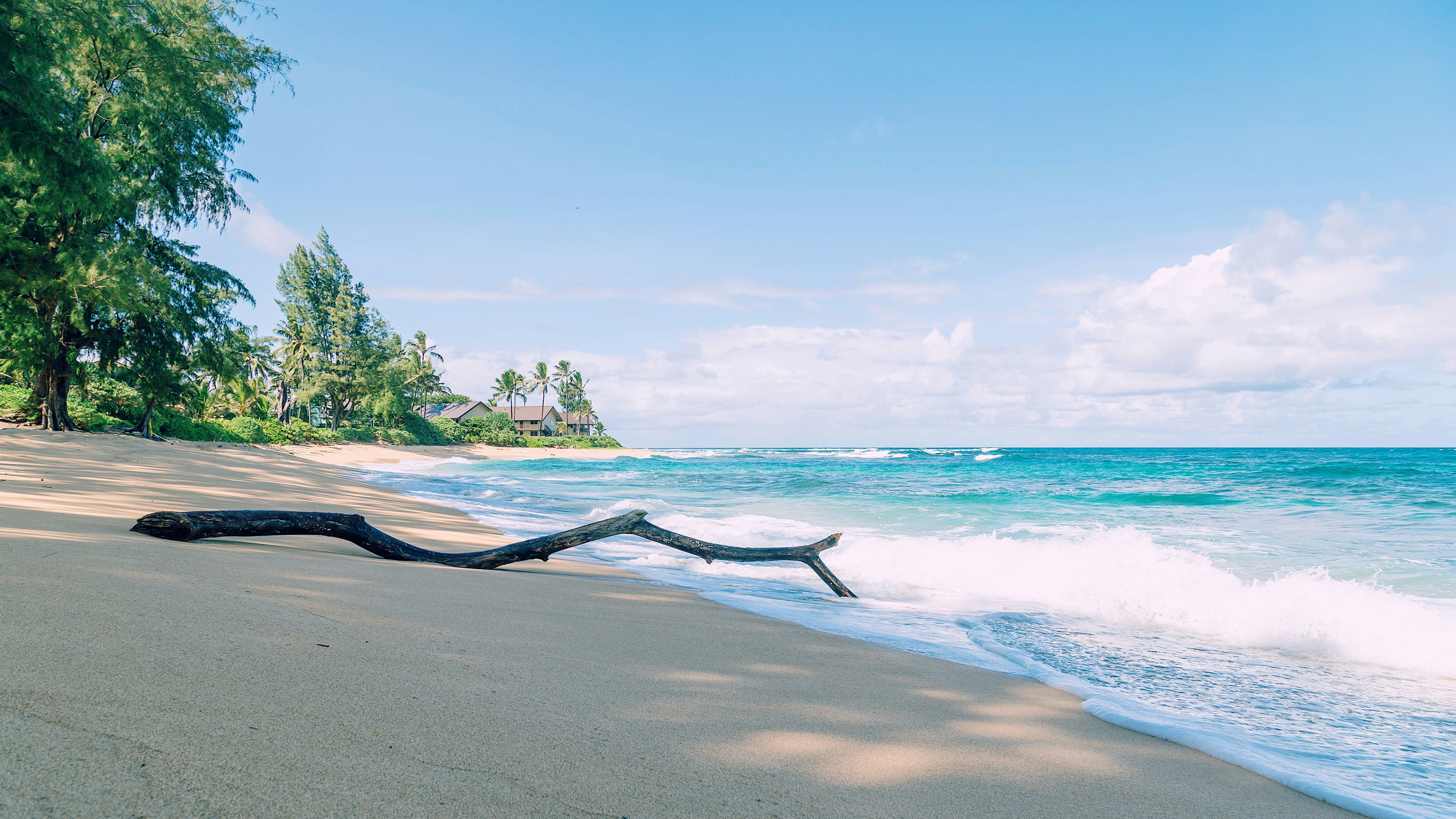 Kauai strand