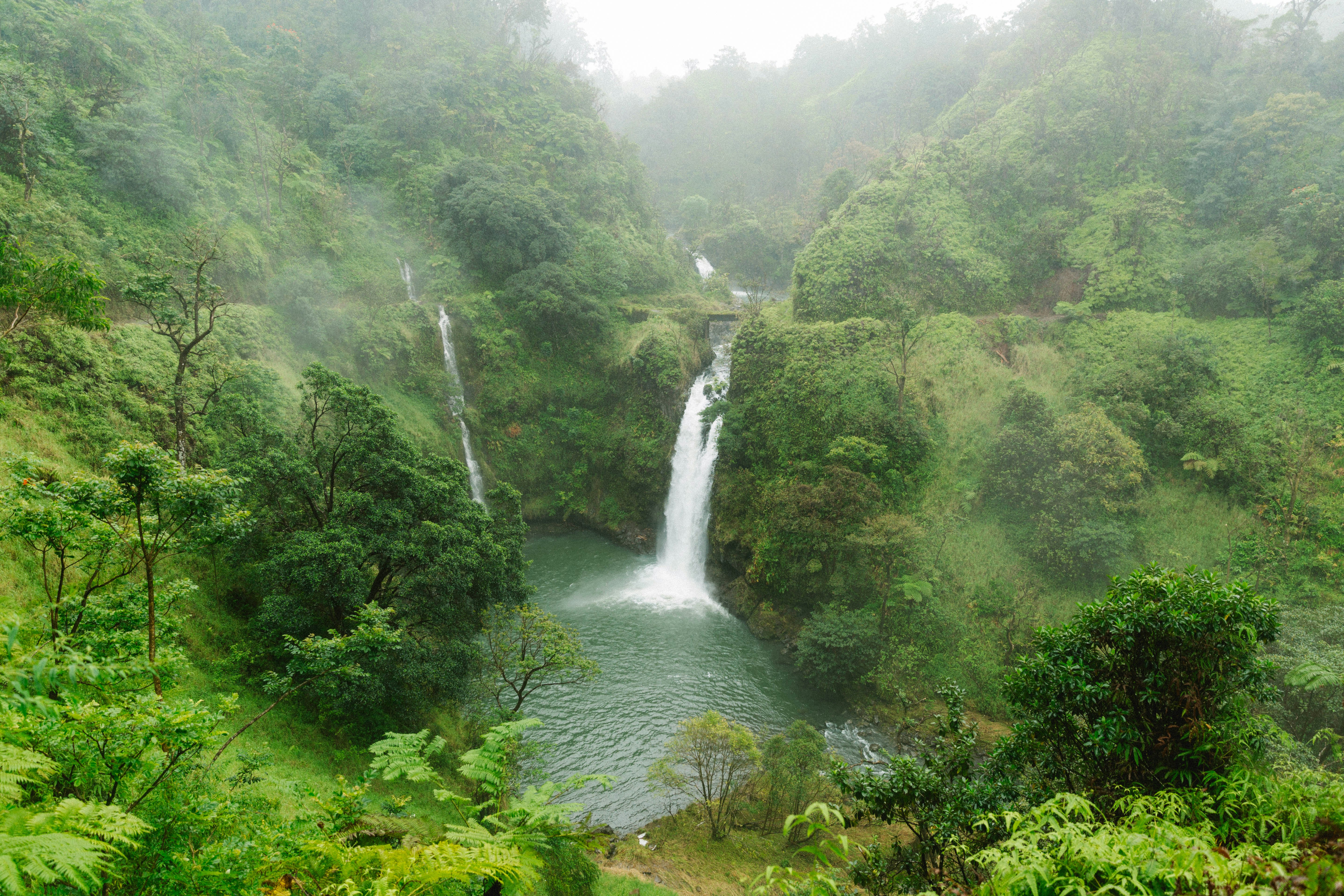 Maui road to hana waterval