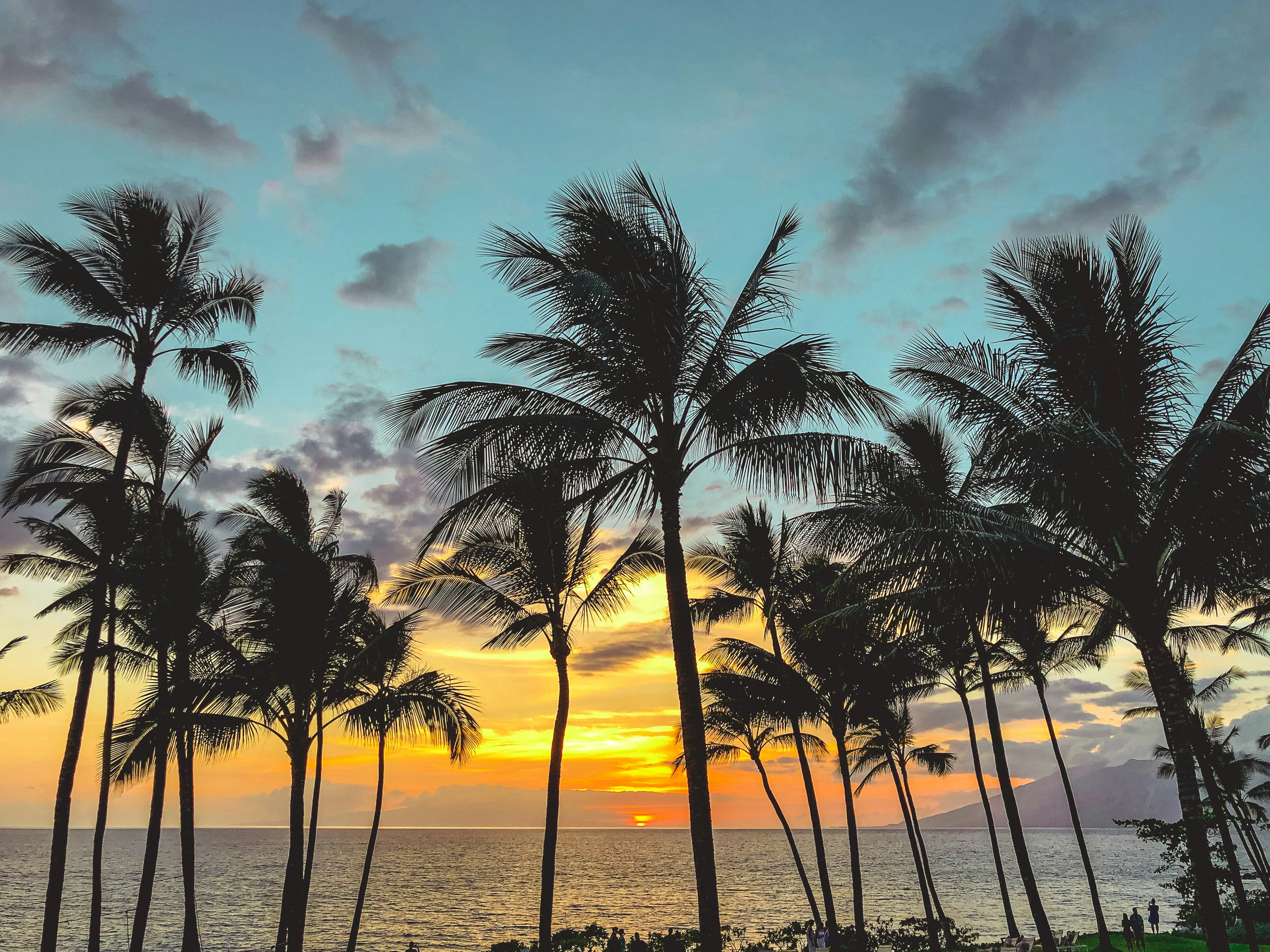 Oahu Maui