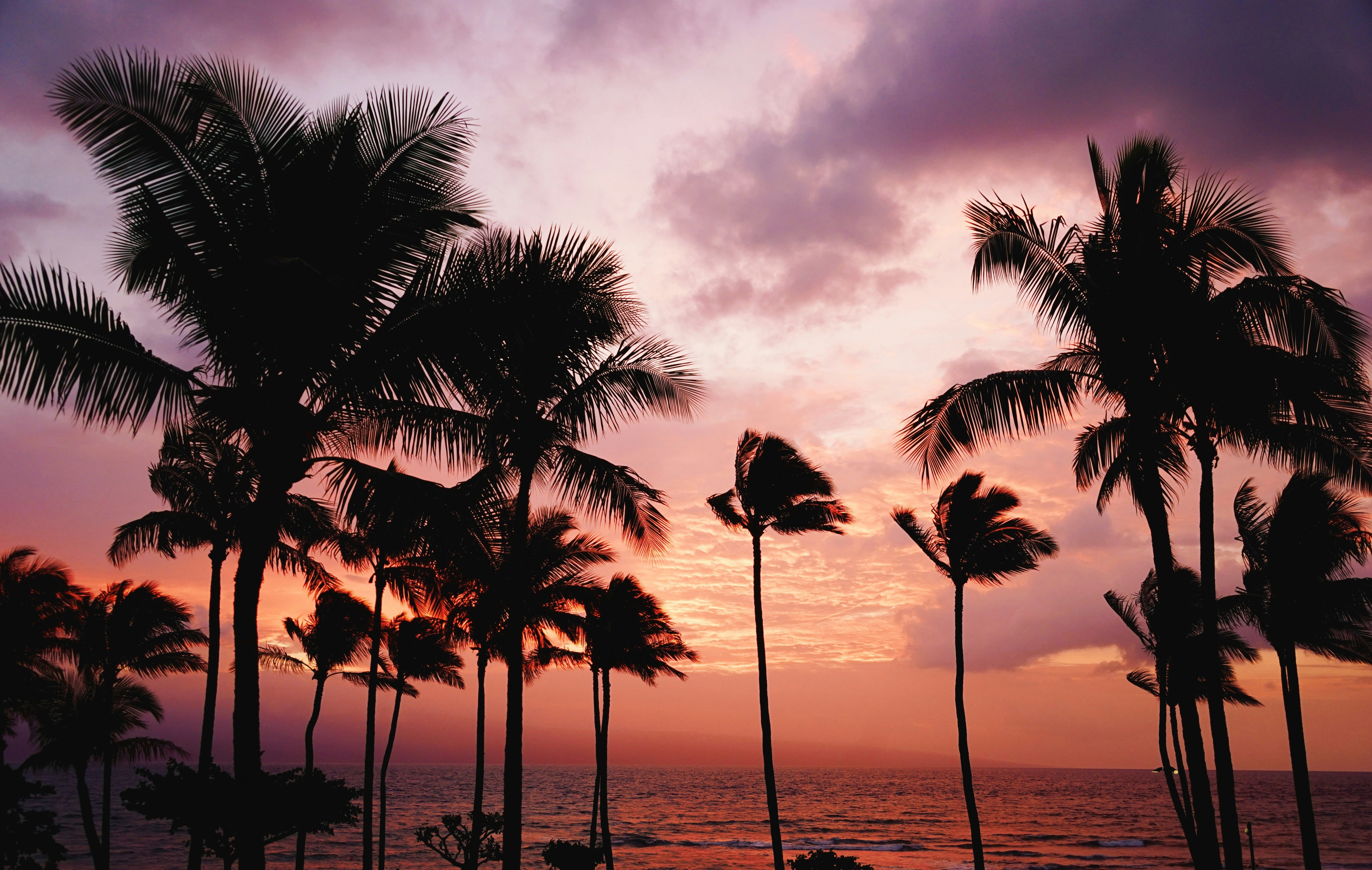 Maui zonsondergang1