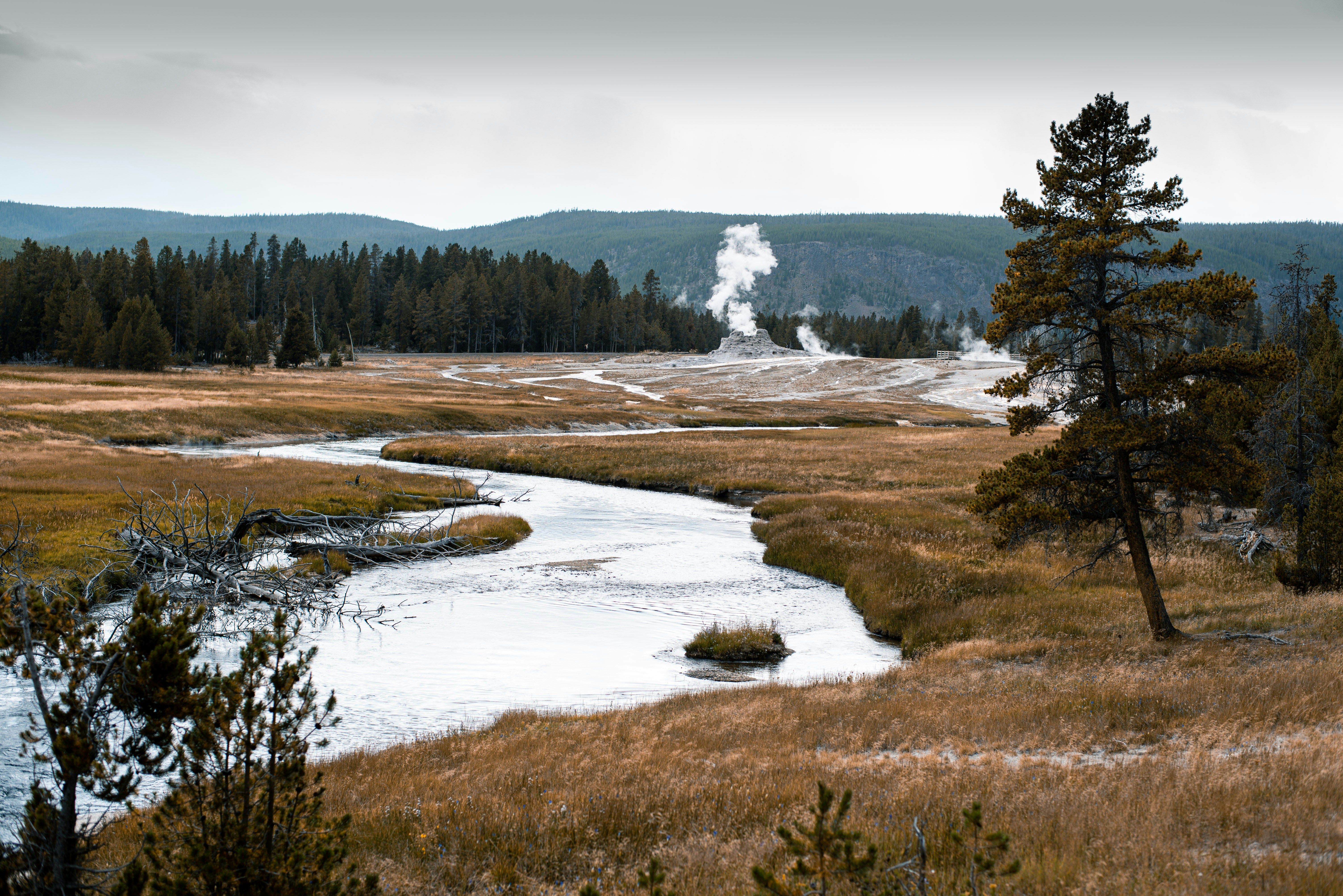 Yellowstone national park geyser1