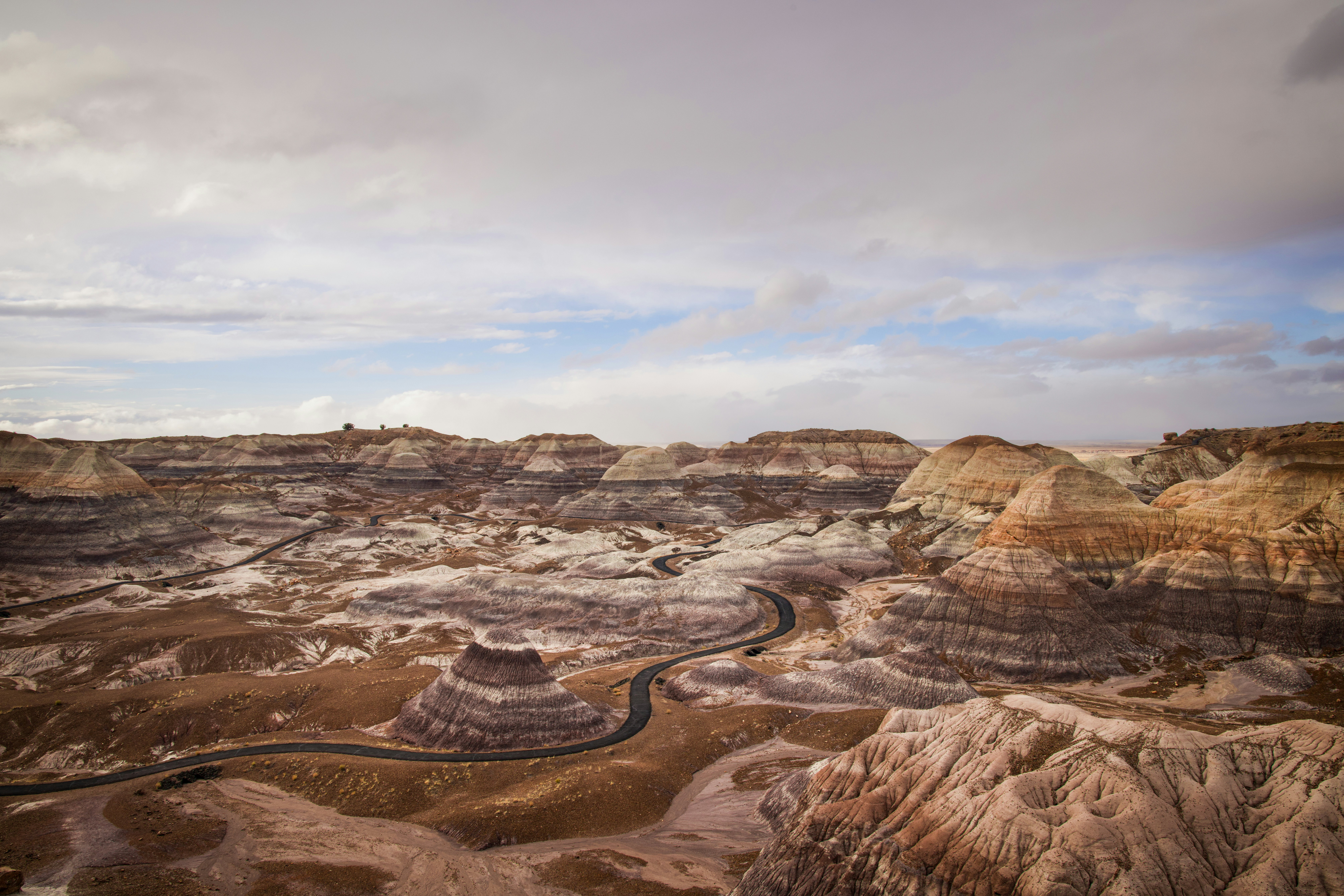 Petrified forest national park