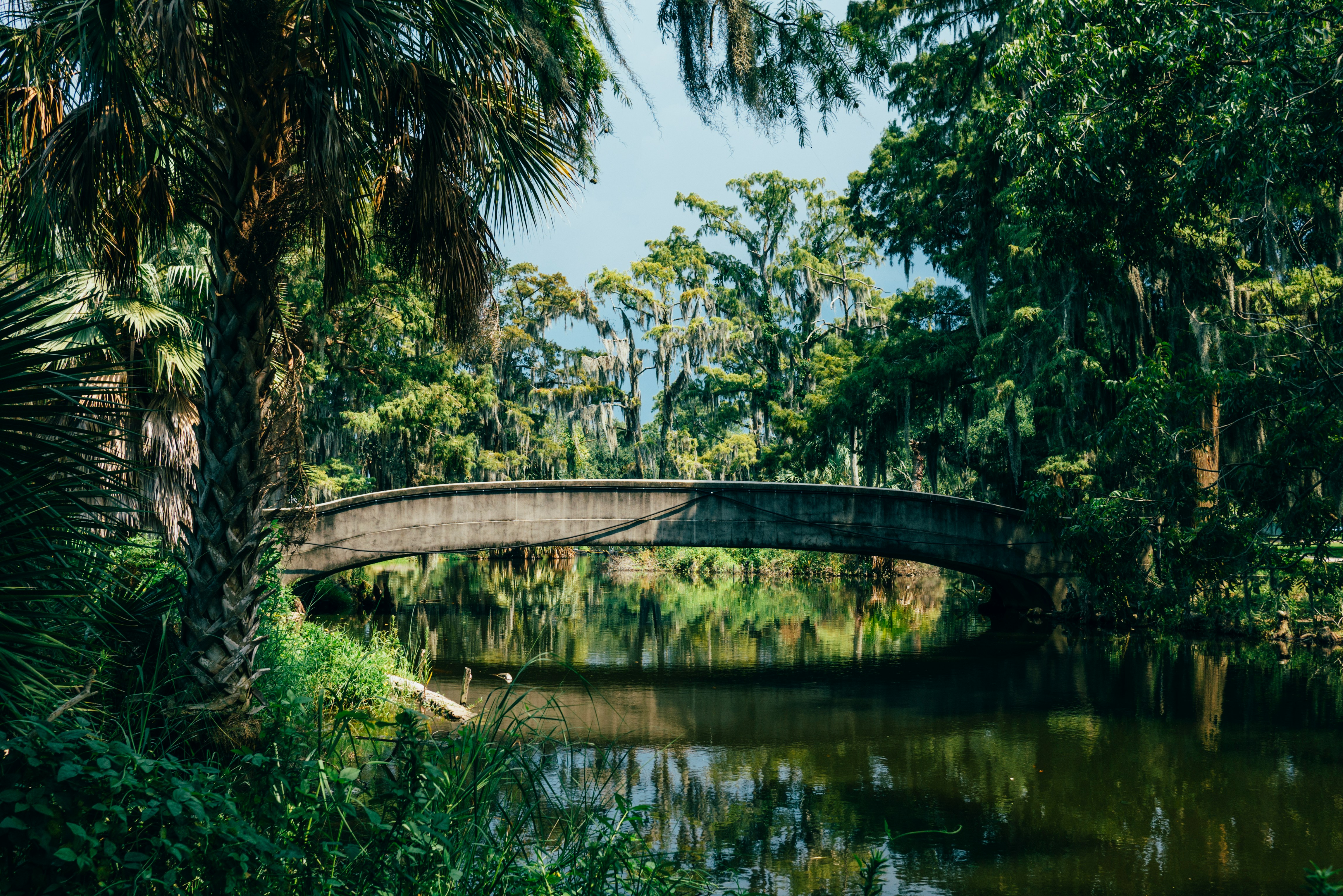New orleans city park