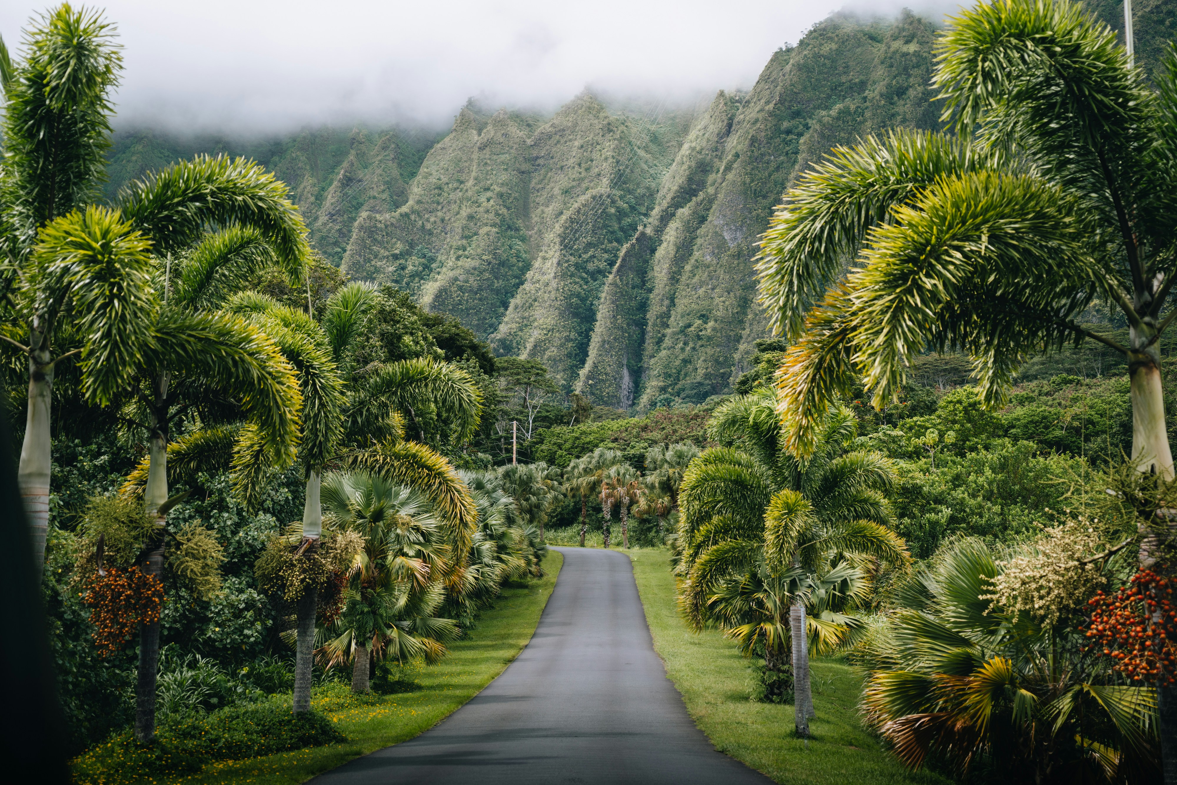 Oahu hoomaluhia botanical garden