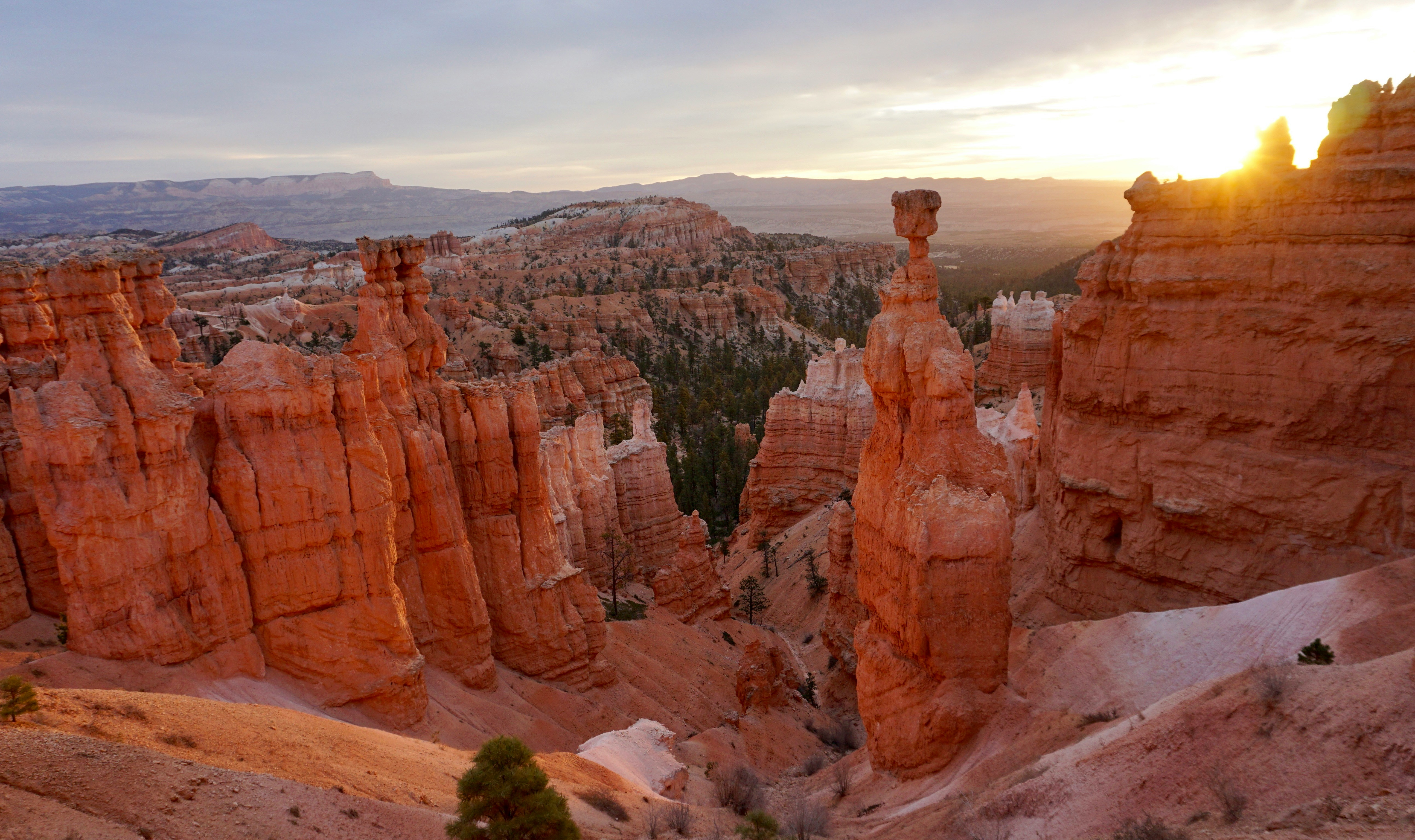 Bryce canyon national park zonsopgang