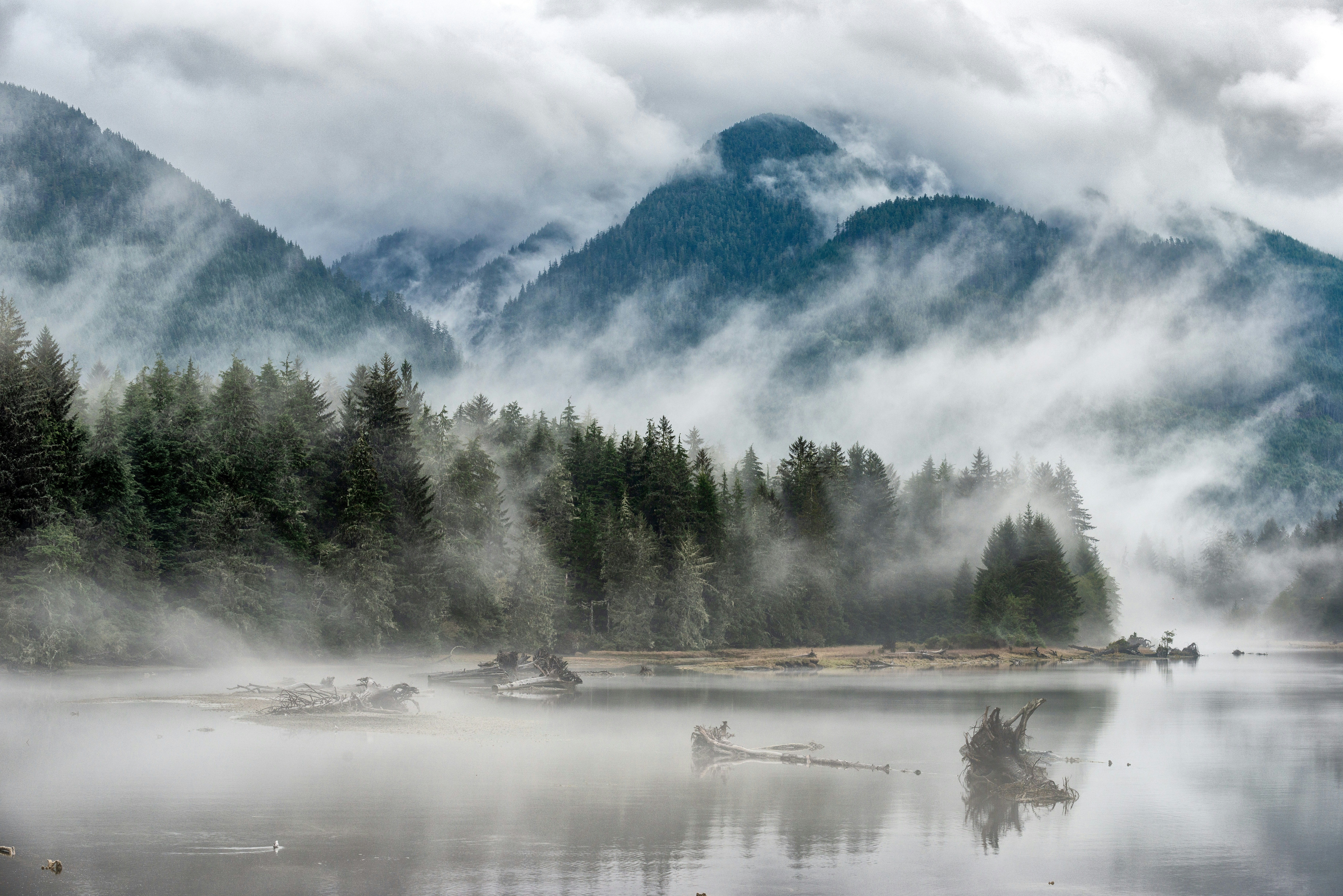 Vancouver island port renfrew