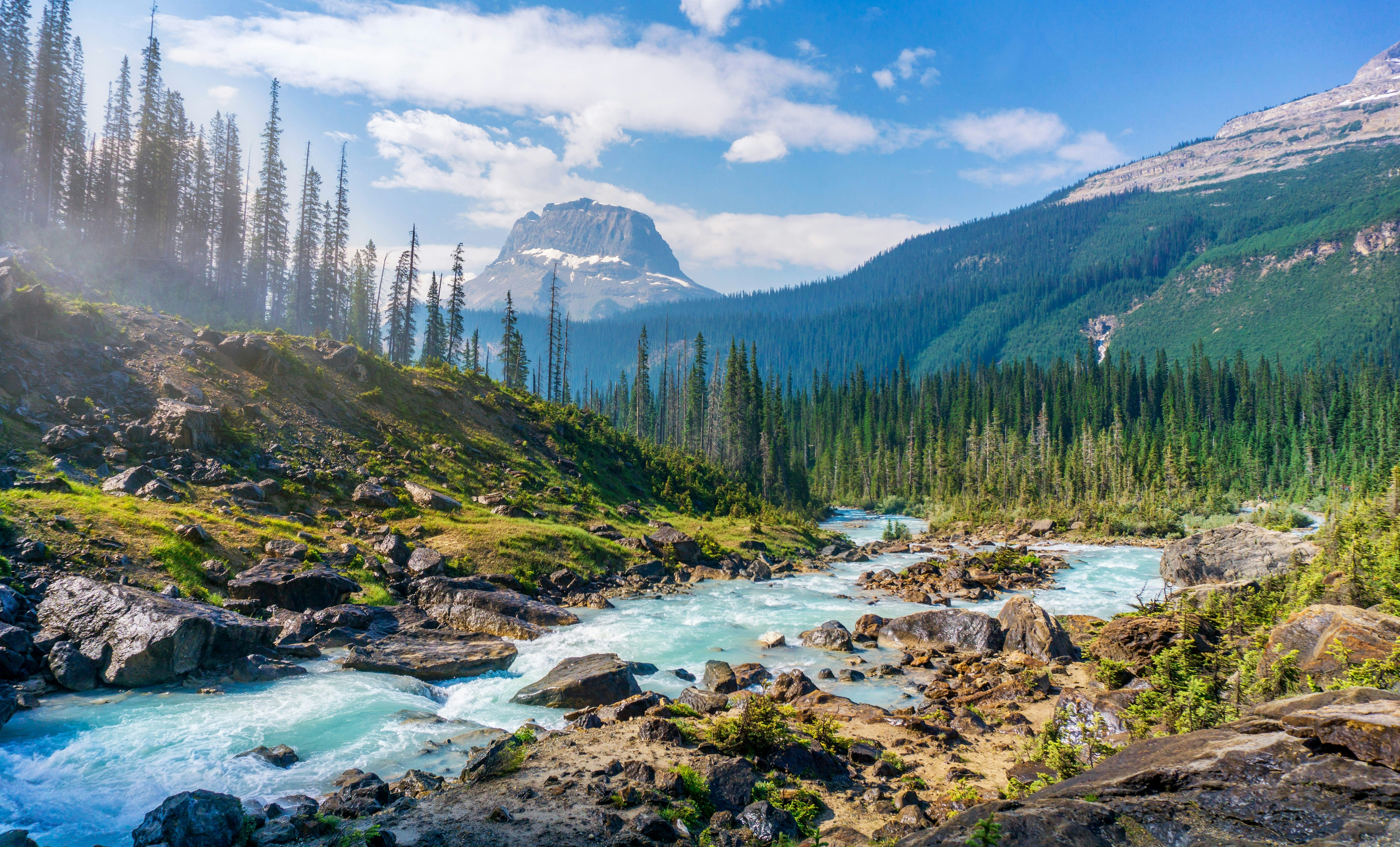 Yoho national park