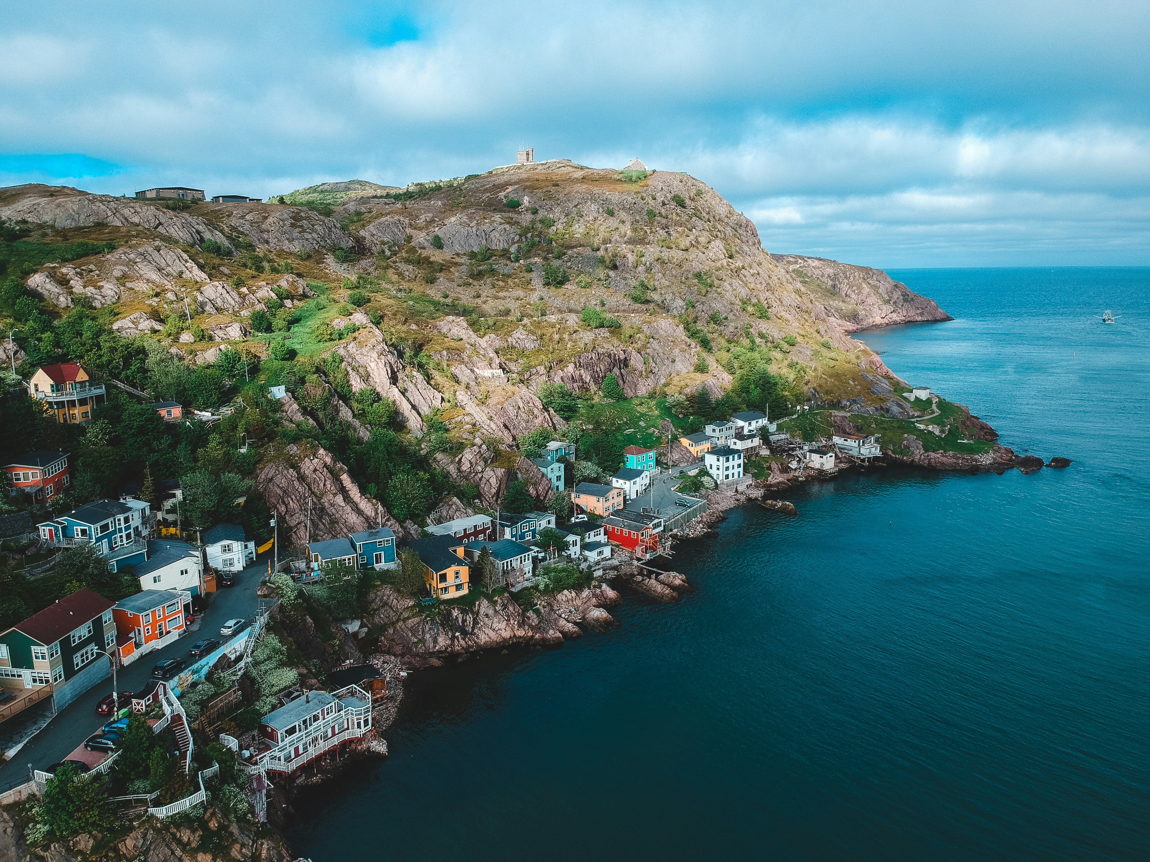 Newfoundland1