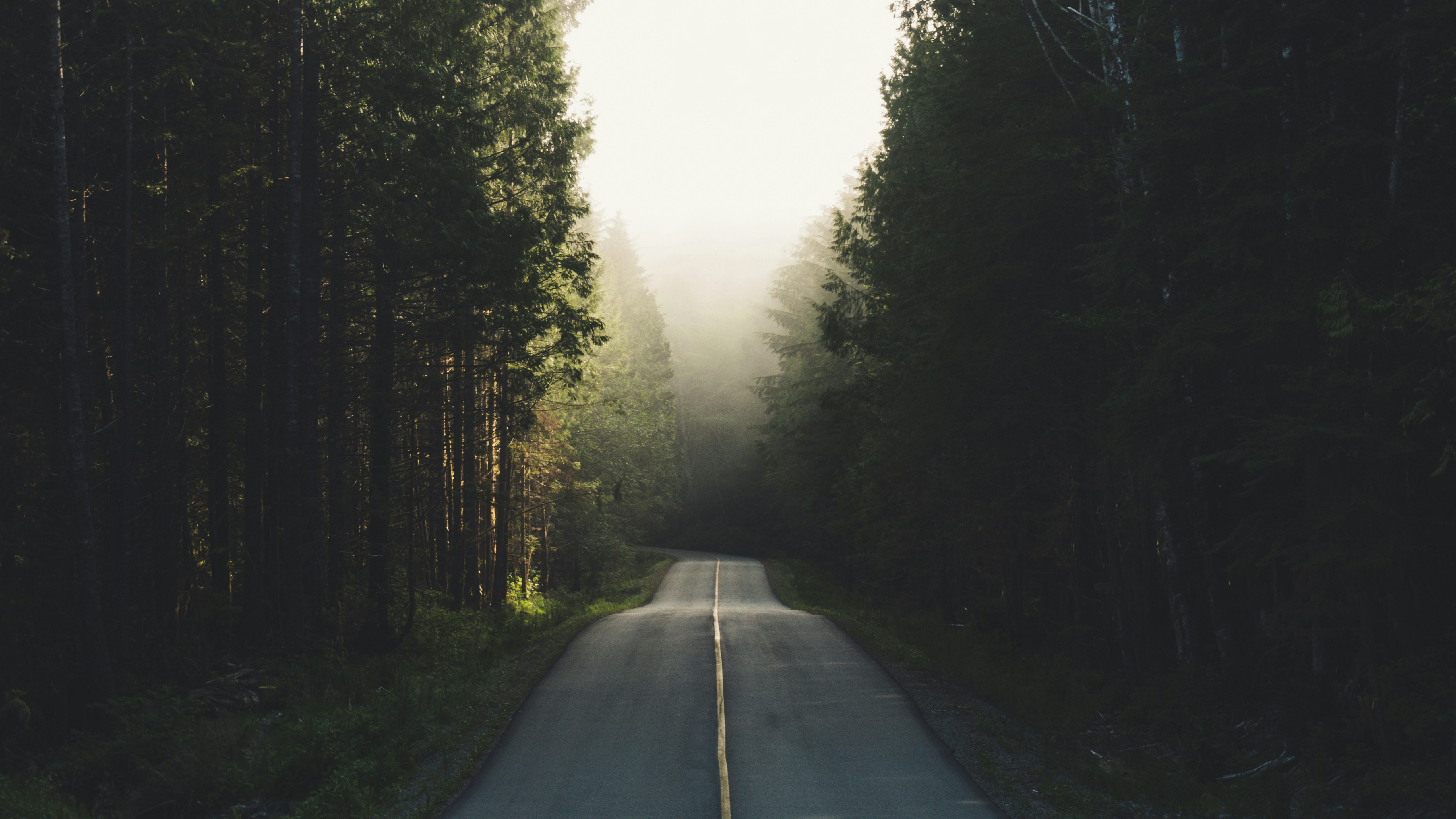 Tofino weg