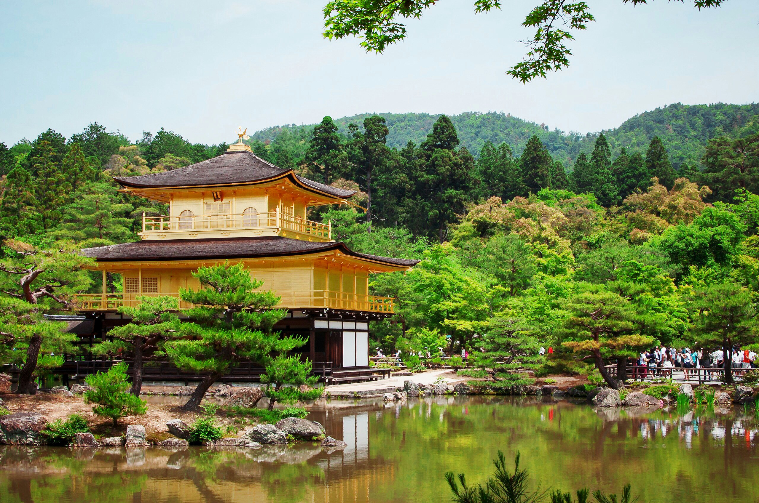 Japan kyoto gouden tempel
