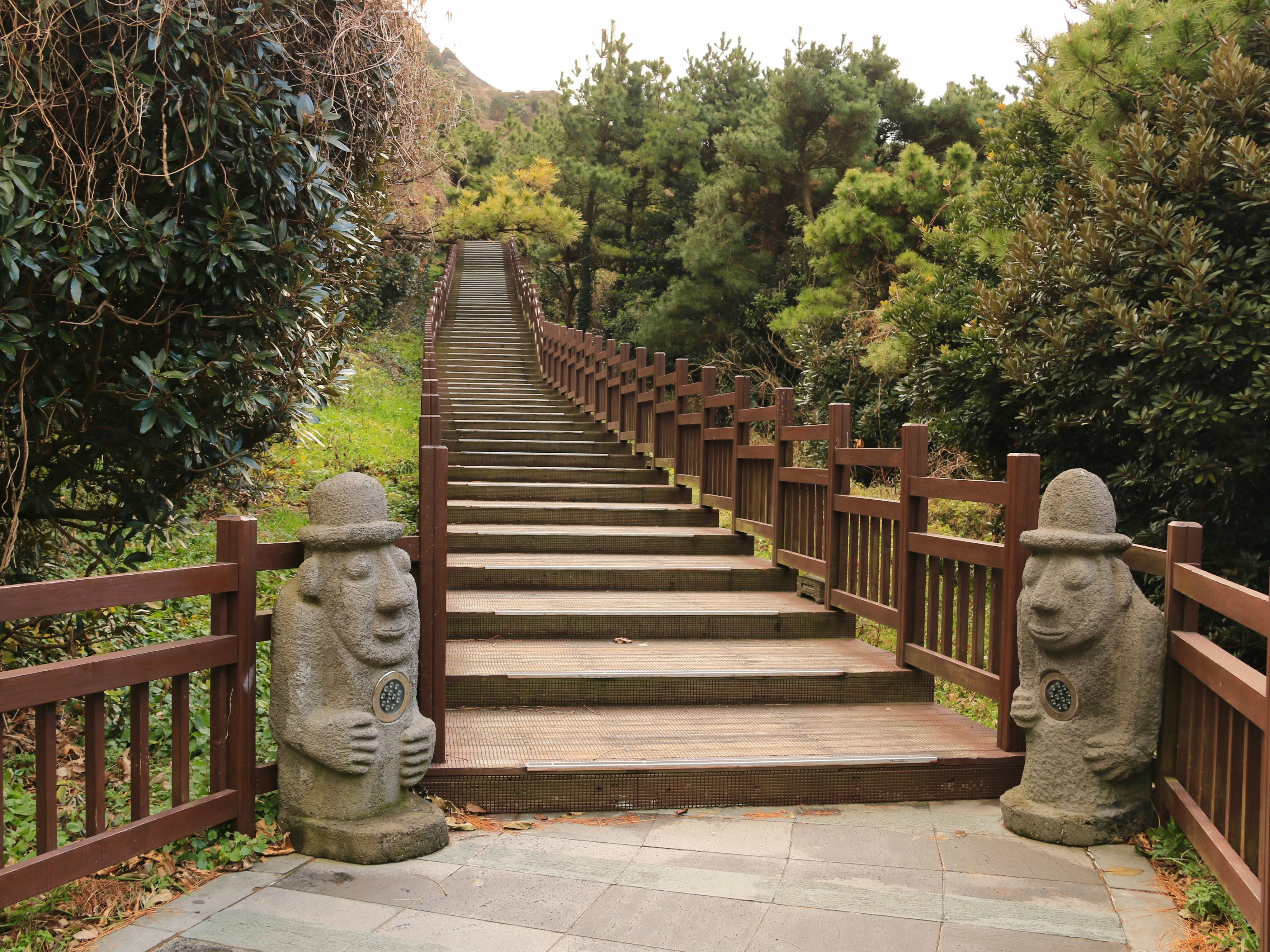 Jeju island pad
